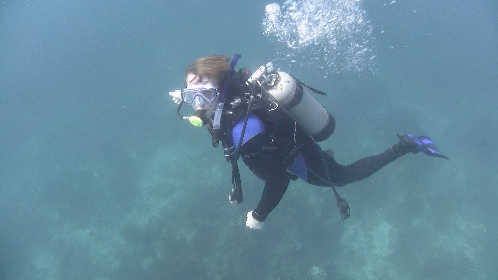 Diving in the BVI