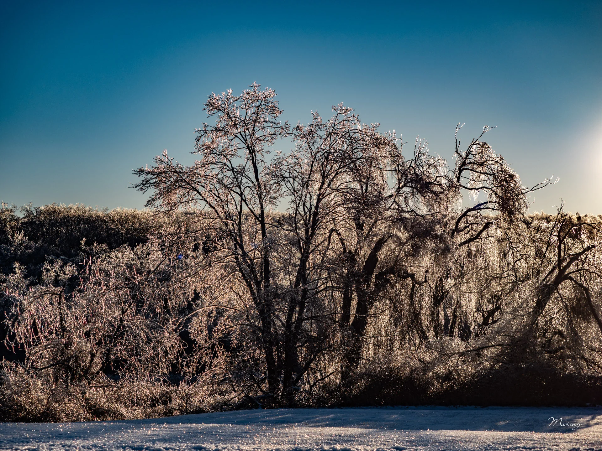Winter Landscapes