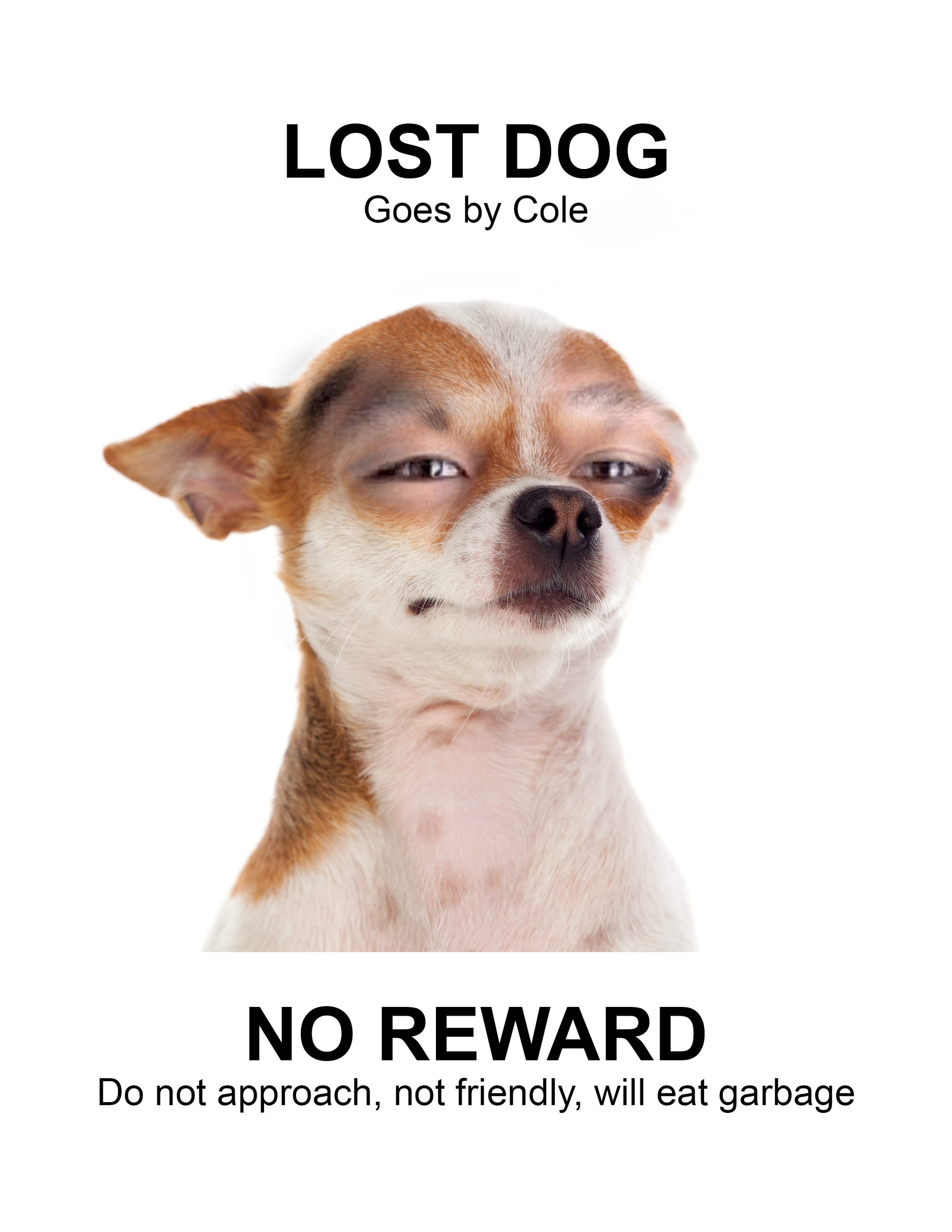 2026-prank flyers7.png