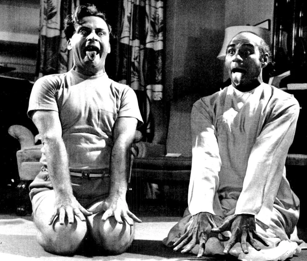 A Yogi Family Tree 
