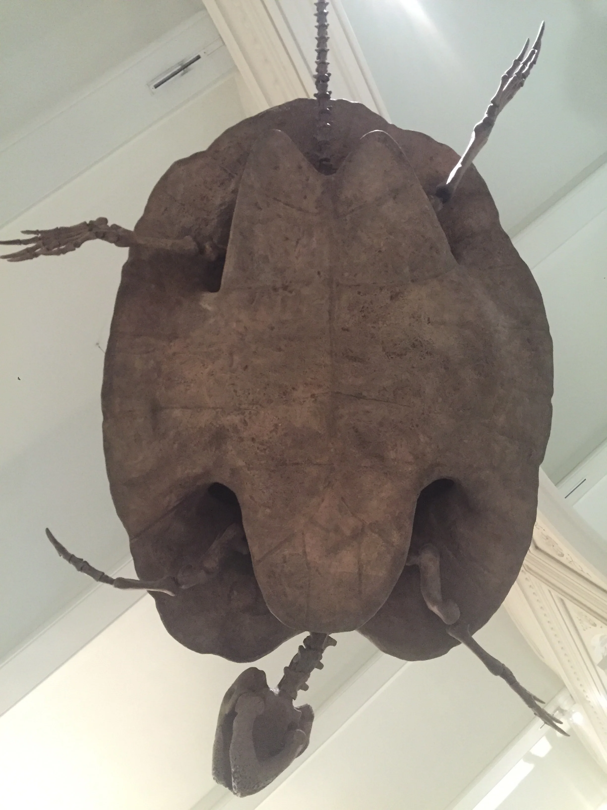 Something something something......prehistoric