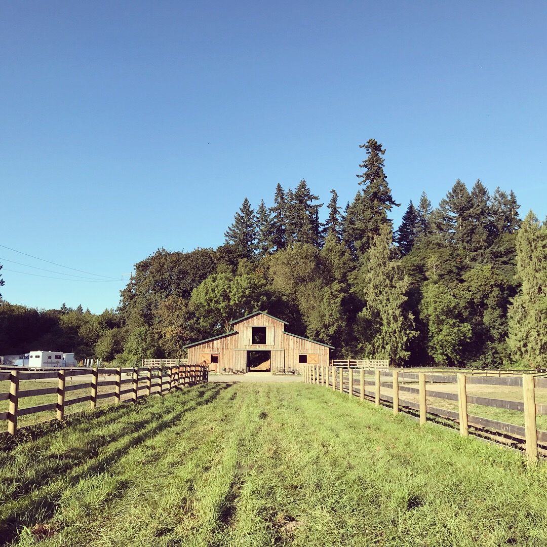 viola farms barn.JPG