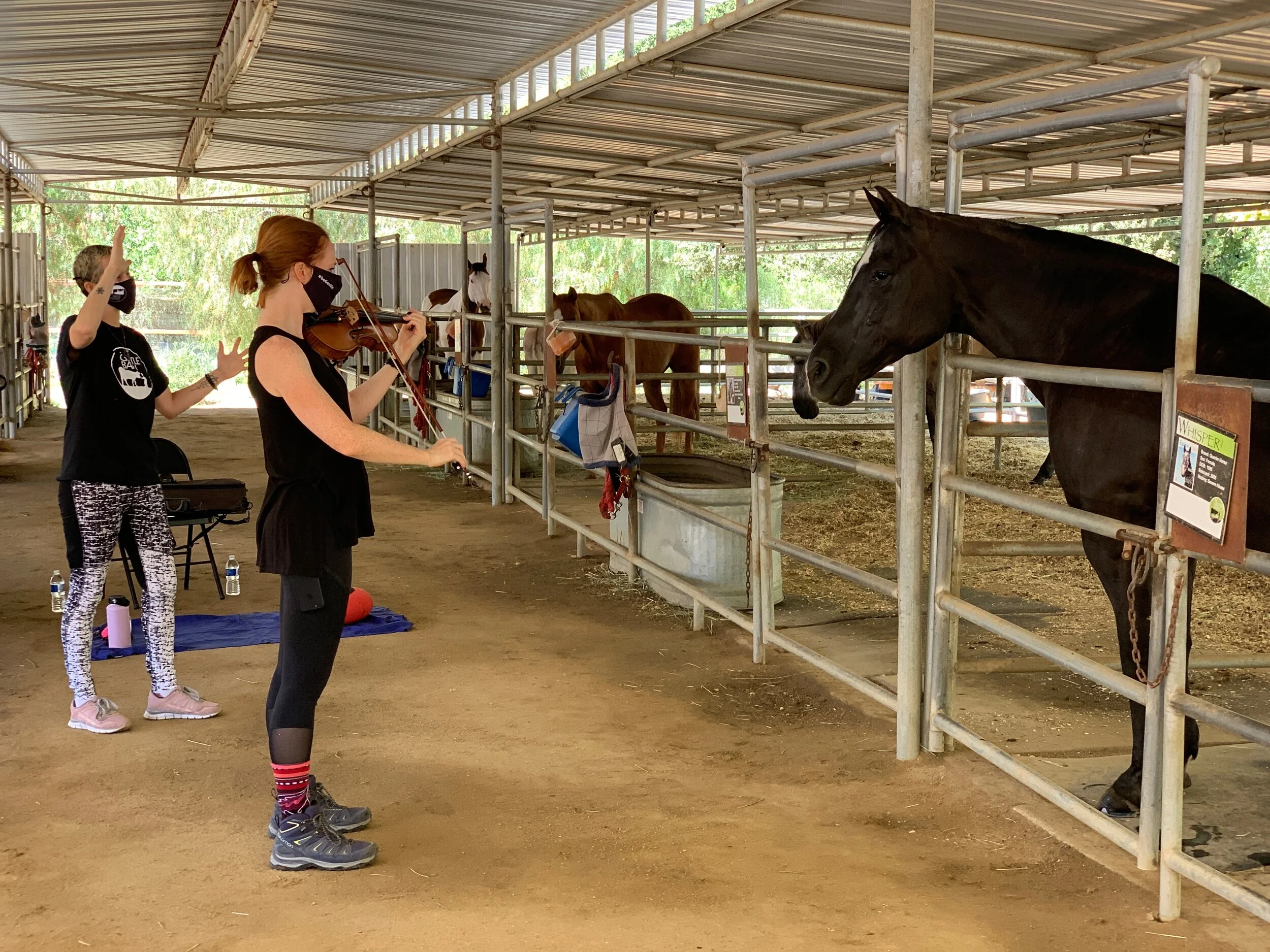 Sound Healing and Reiki at The Gentle Barn