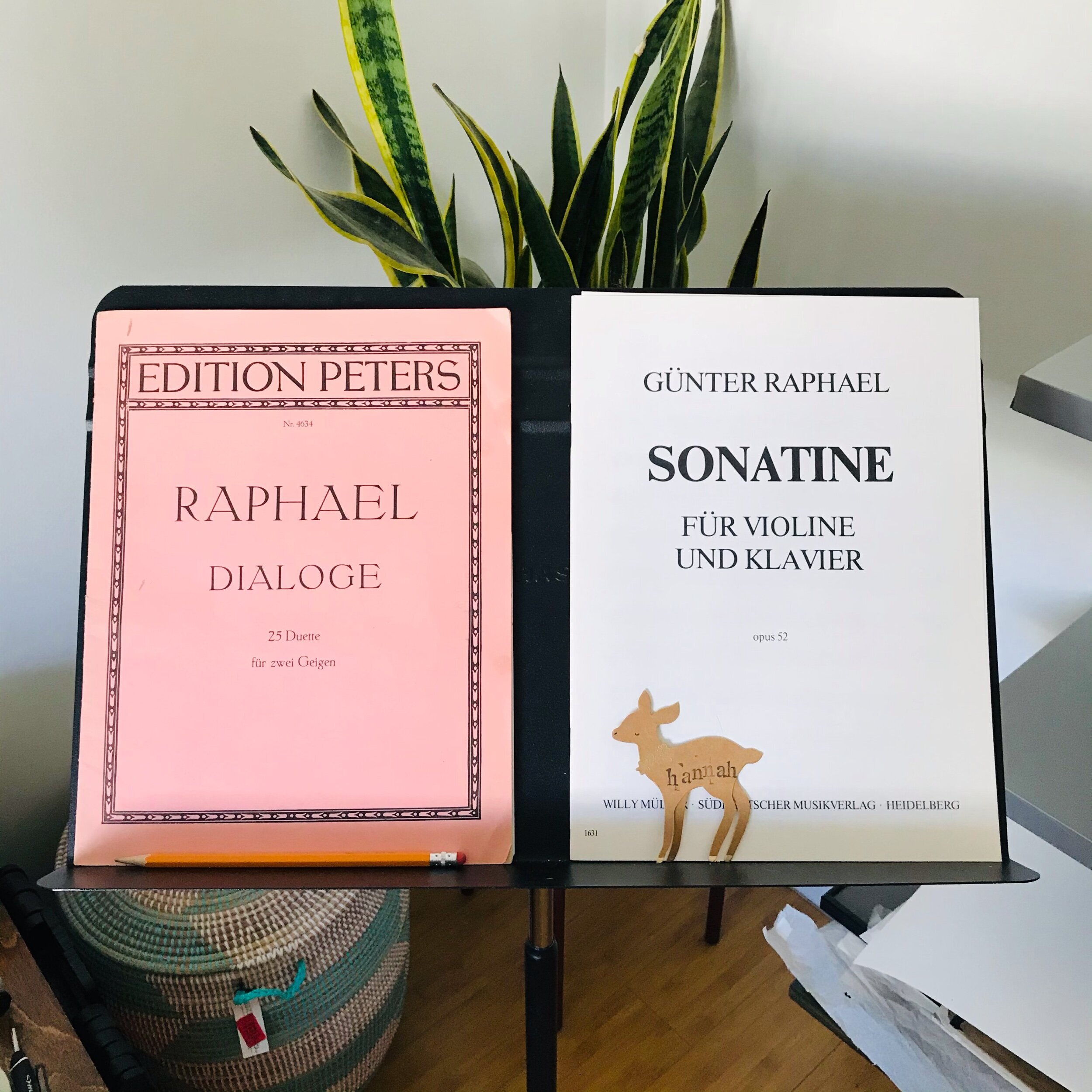 The Violin Music of East Germany Part VII: Günter Raphael