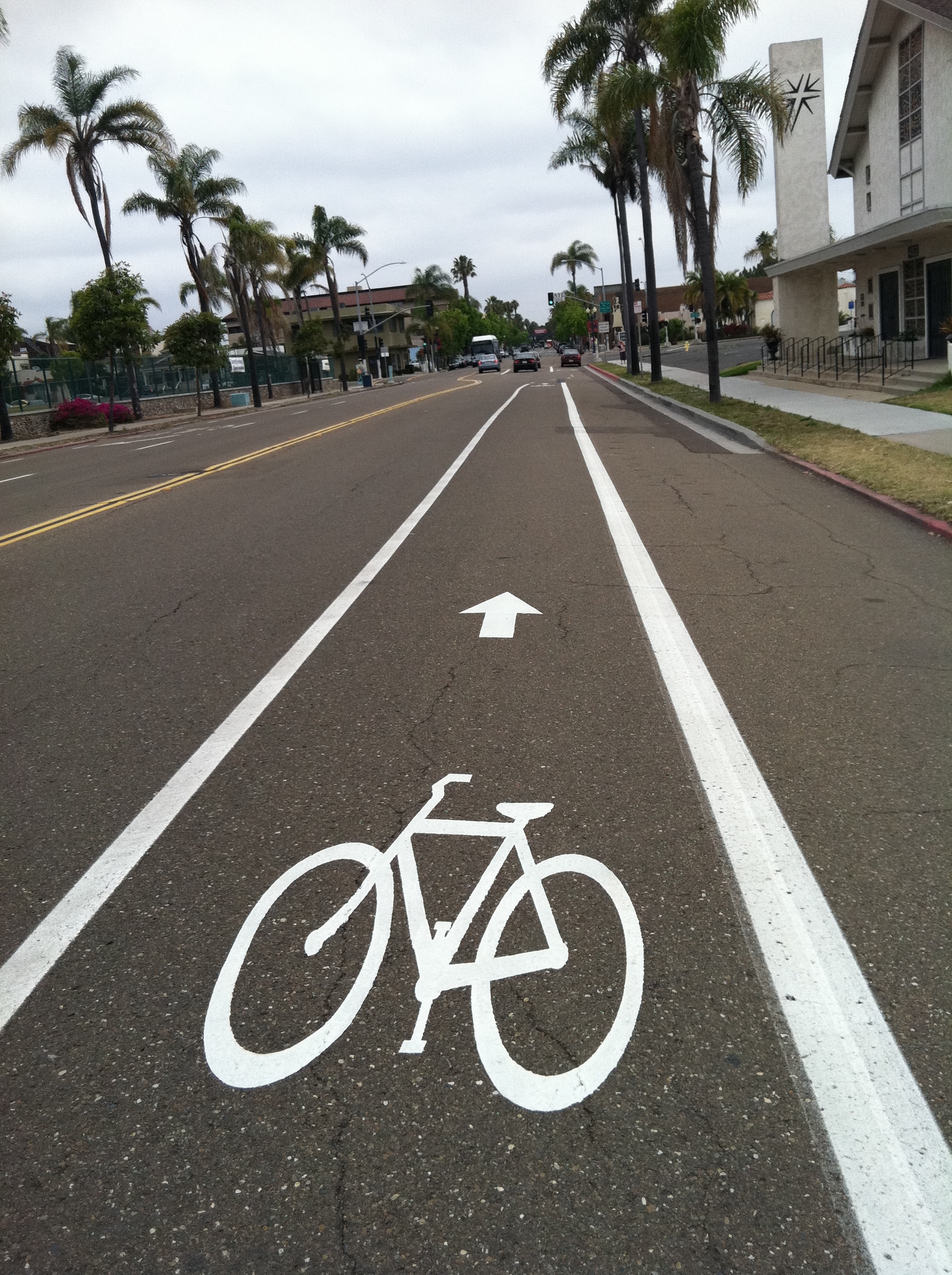 Bike Lane Accident Florida.jpg