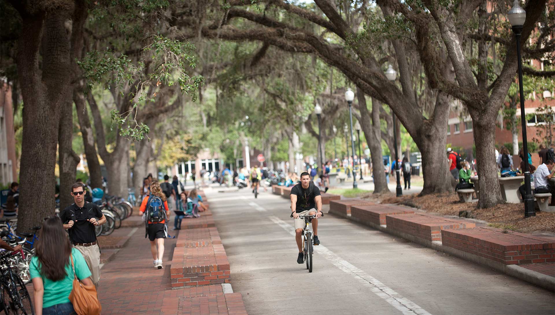 UF Bike Accidents on Campus