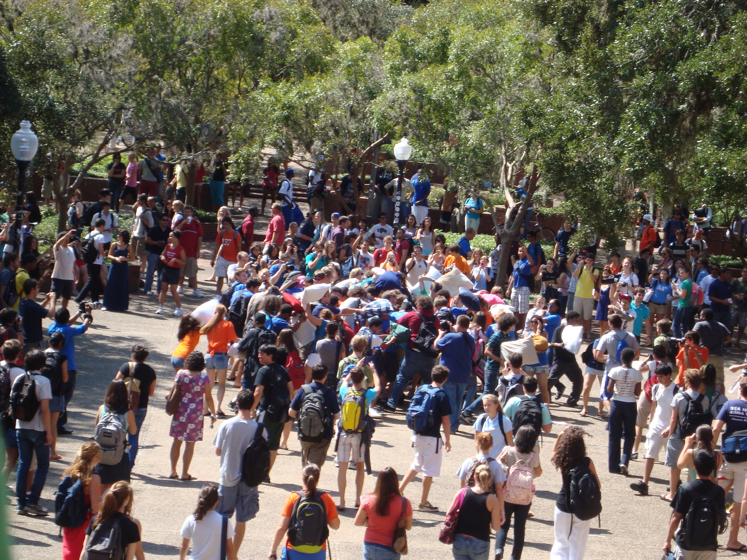 Turlington Plaza UF Bike Accident