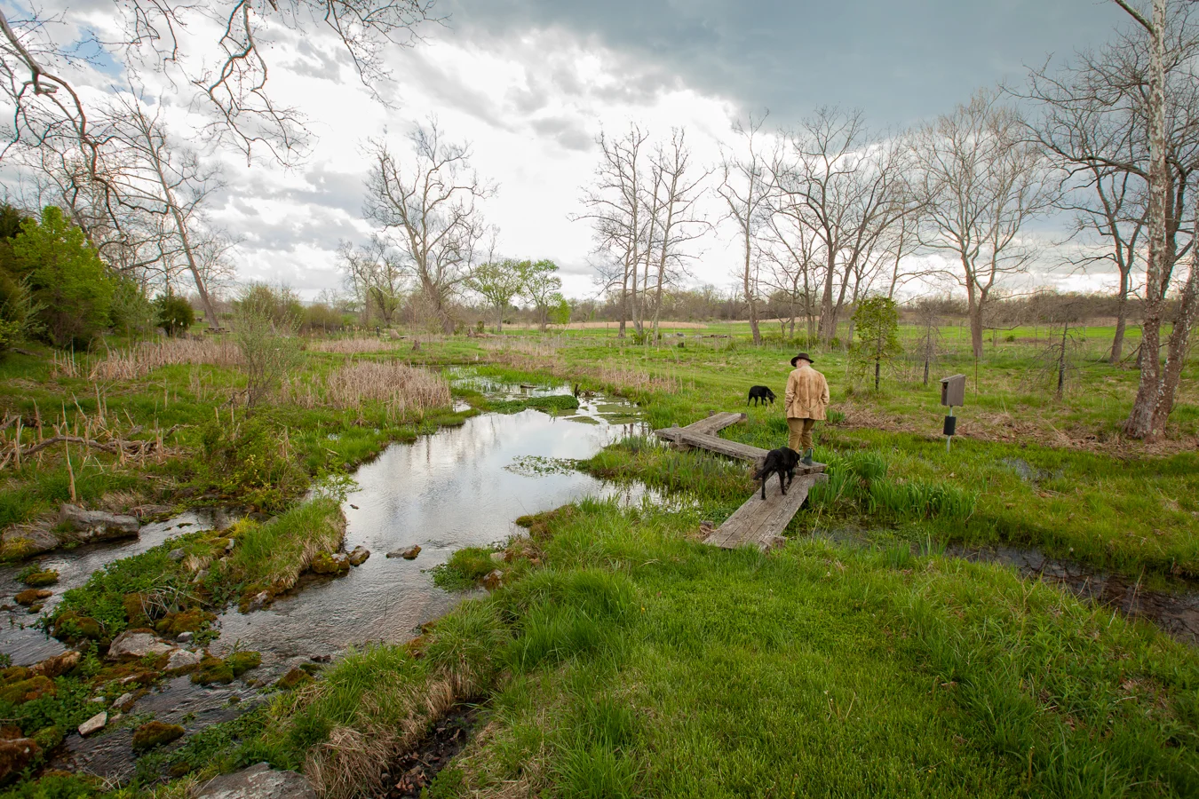Chapel Hill Run Springhead - Photograph by Adrien Broom
