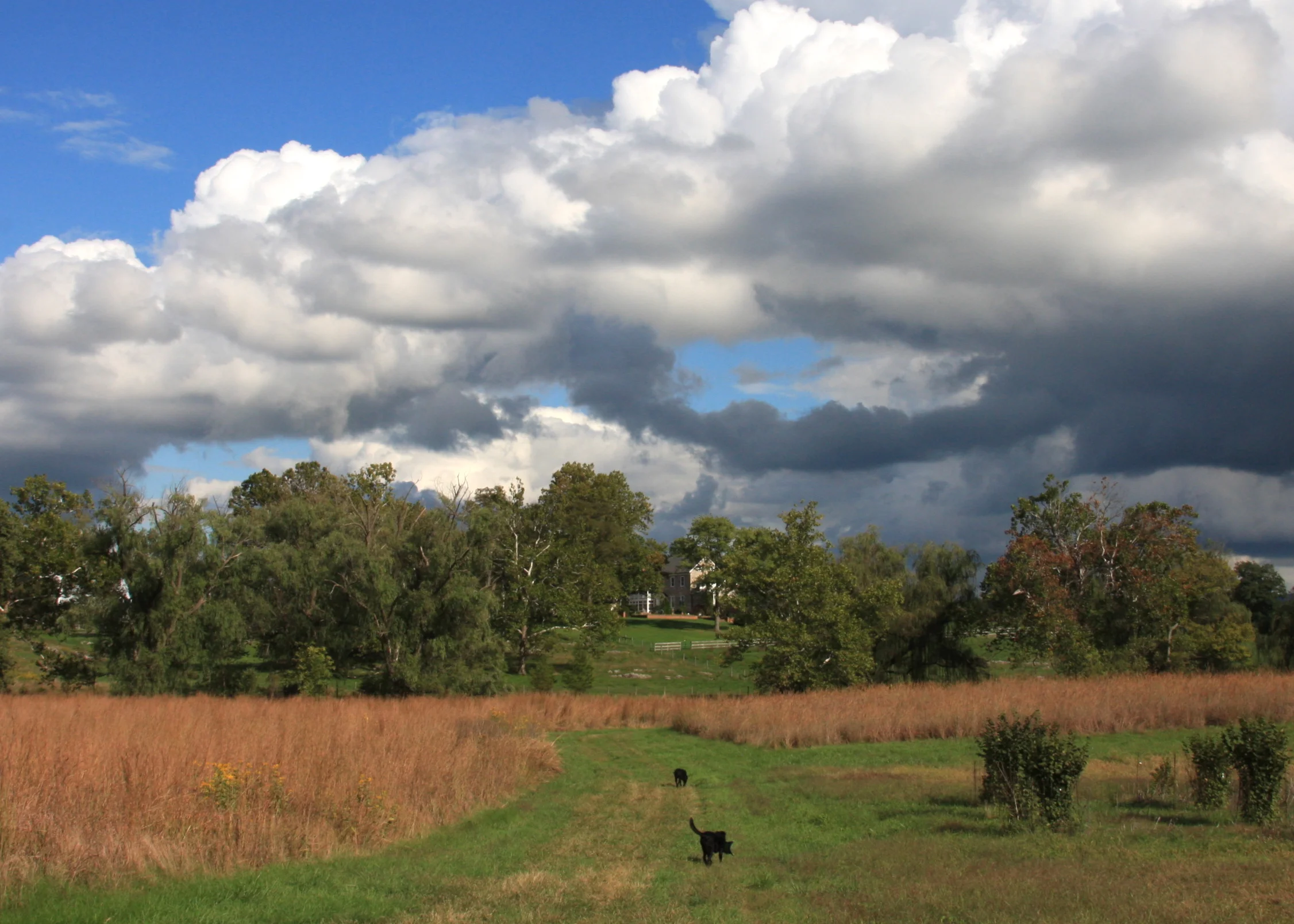 Chapel Hill Farm - Photograph by Lucia Henderson