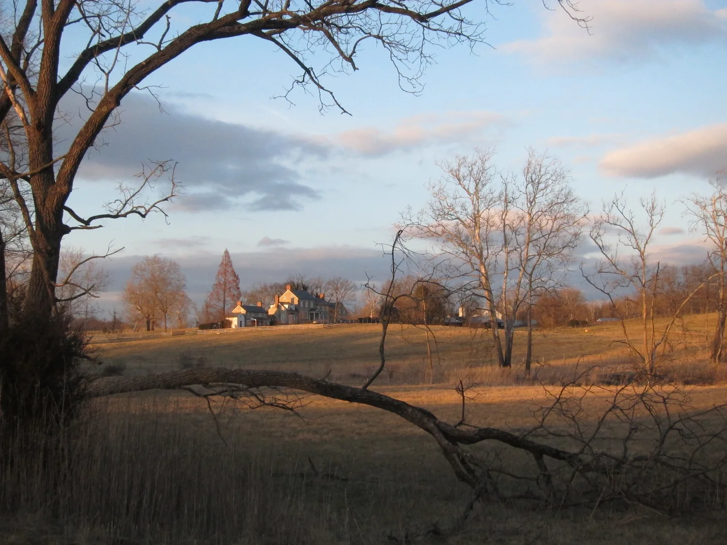 Chapel Hill Farm - Photograph by Lucia Henderson