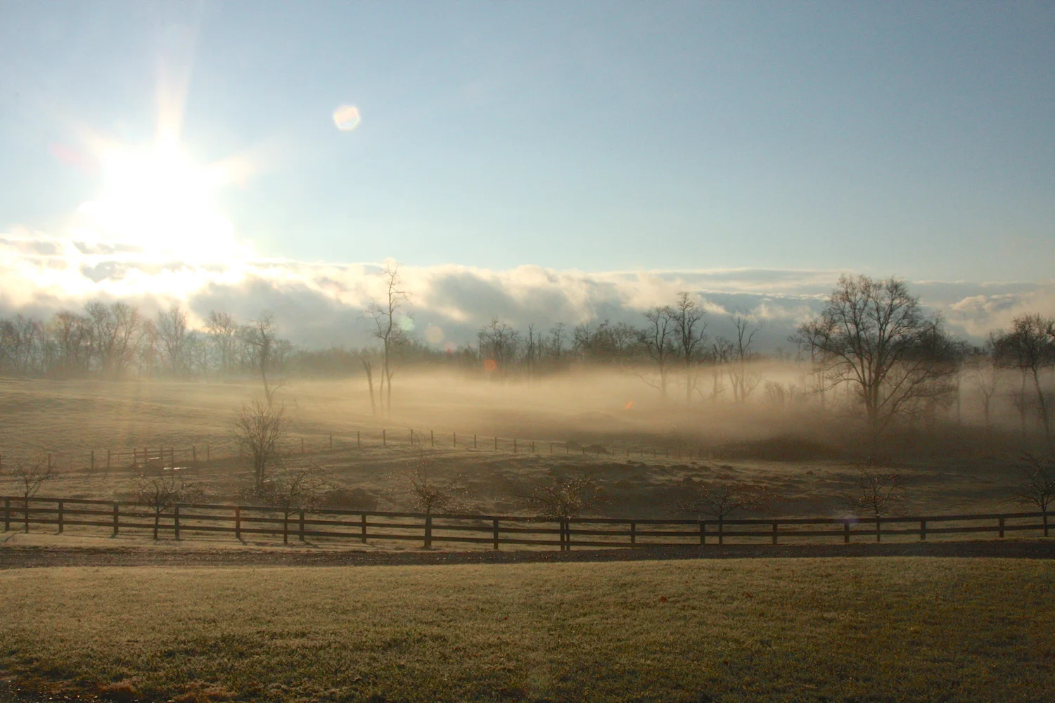 Chapel Hill Farm - Photograph by Lucia Henderson