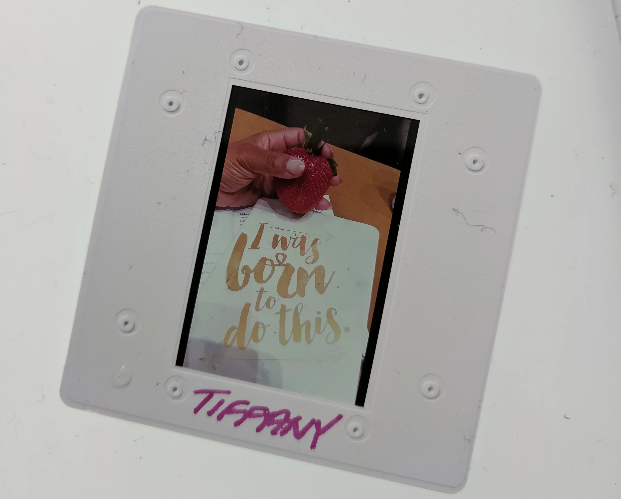 A slide with an image from Tiffany's collection.