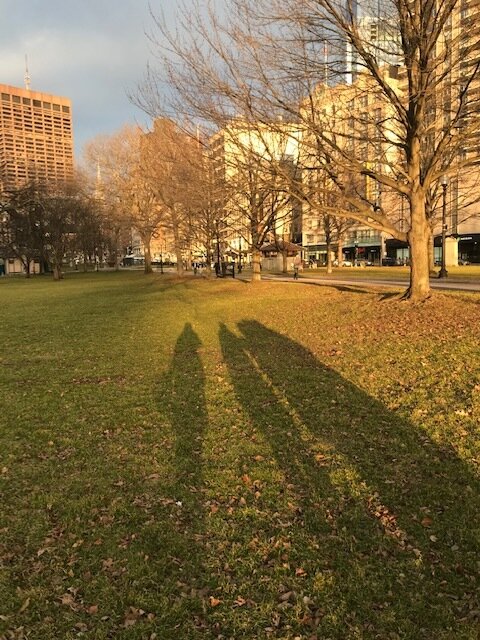 Shadows in the common.jpg