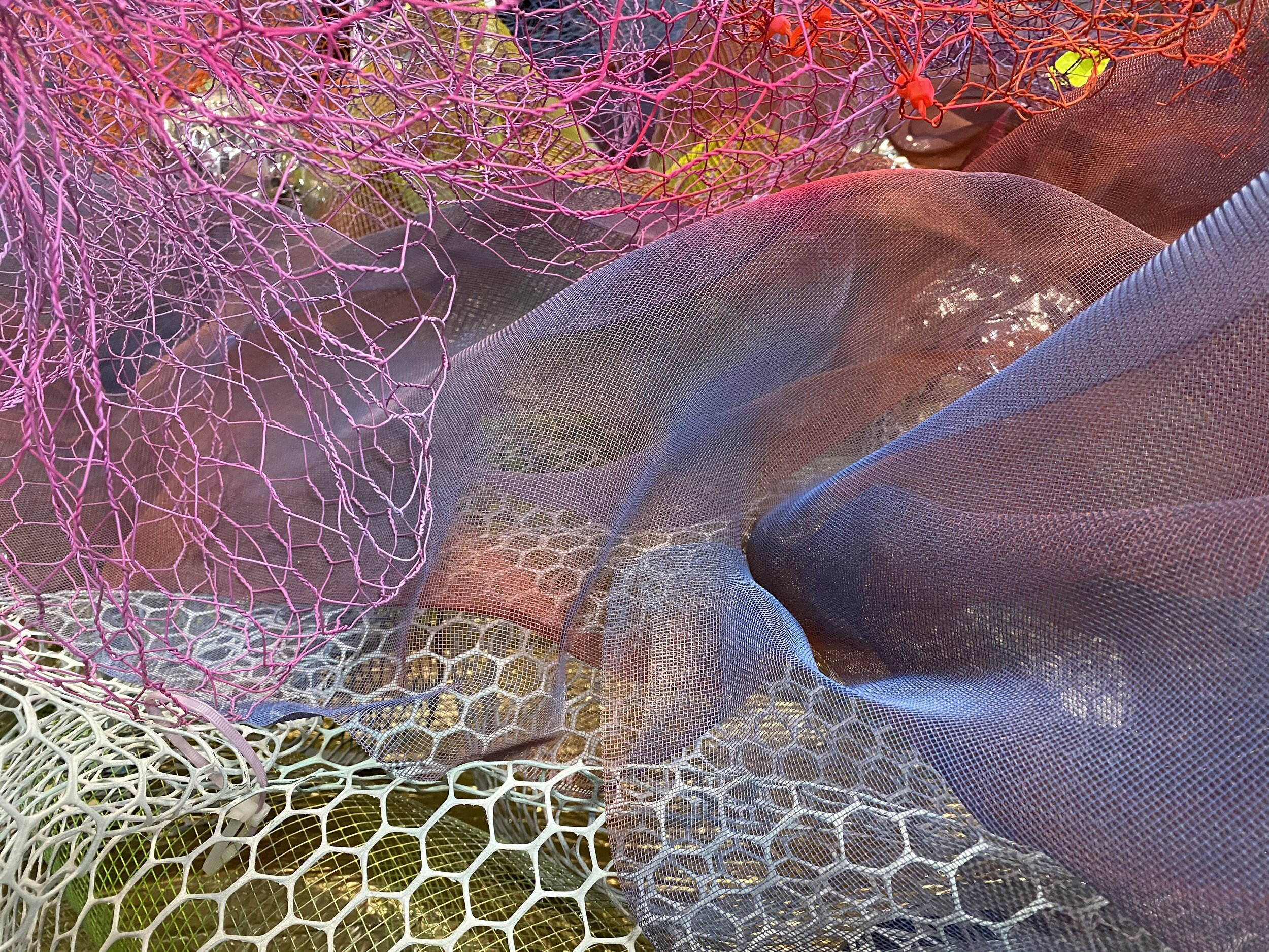 Floral Tonics Sound Bath with Cicely Carew