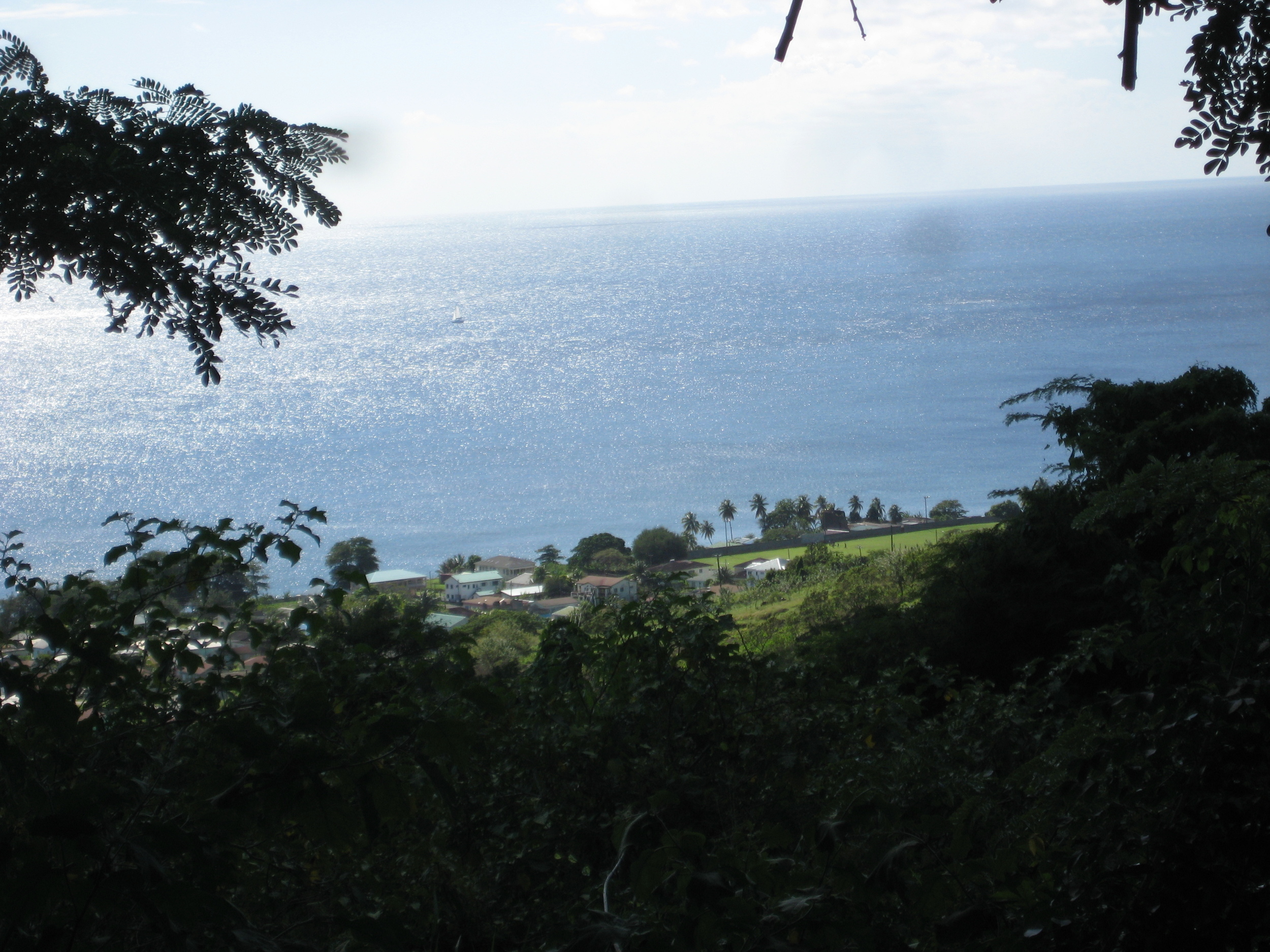  View of the ocean while ziplining 