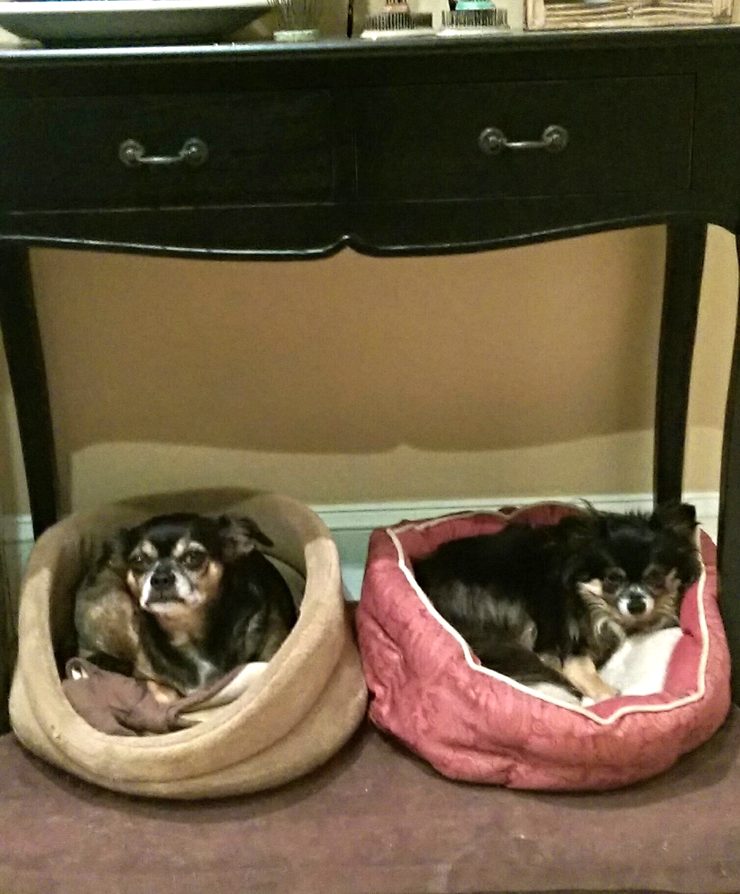 Riley and Hobie