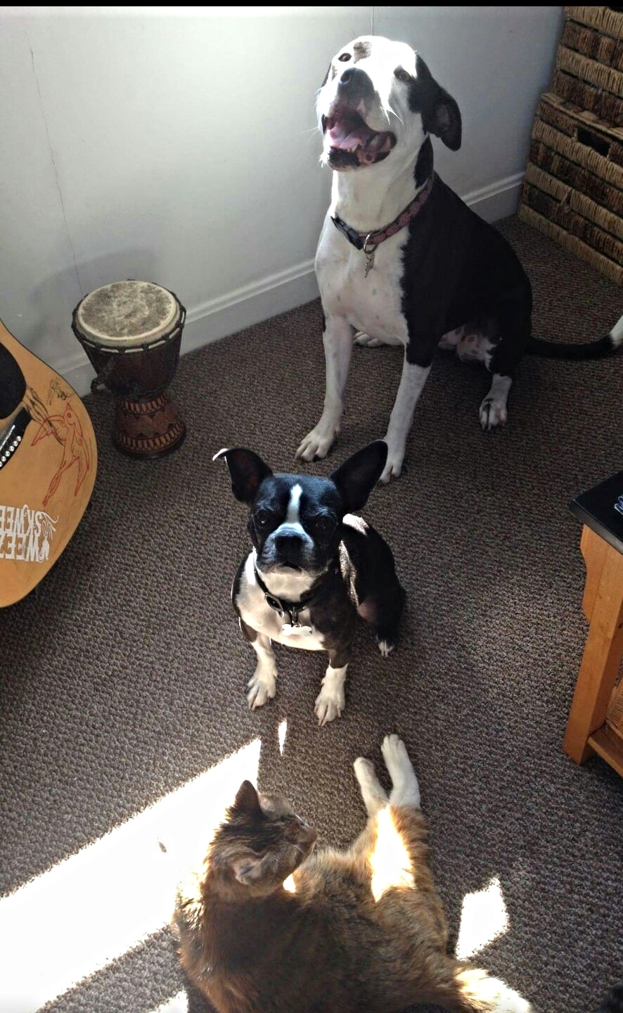 Murphy and Lucy