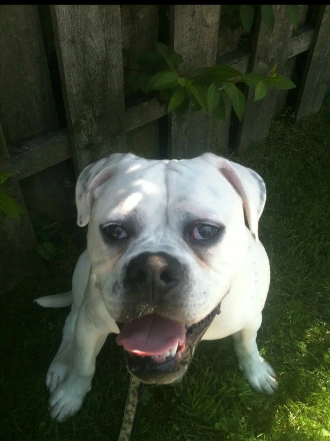 Winnie