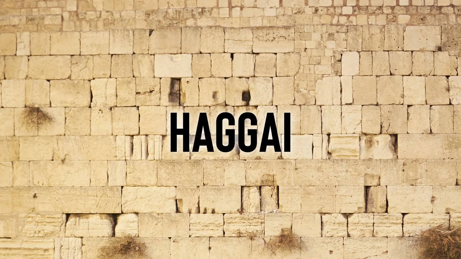 5f90bbf8066edae9a294b087_haggai (1).jpeg