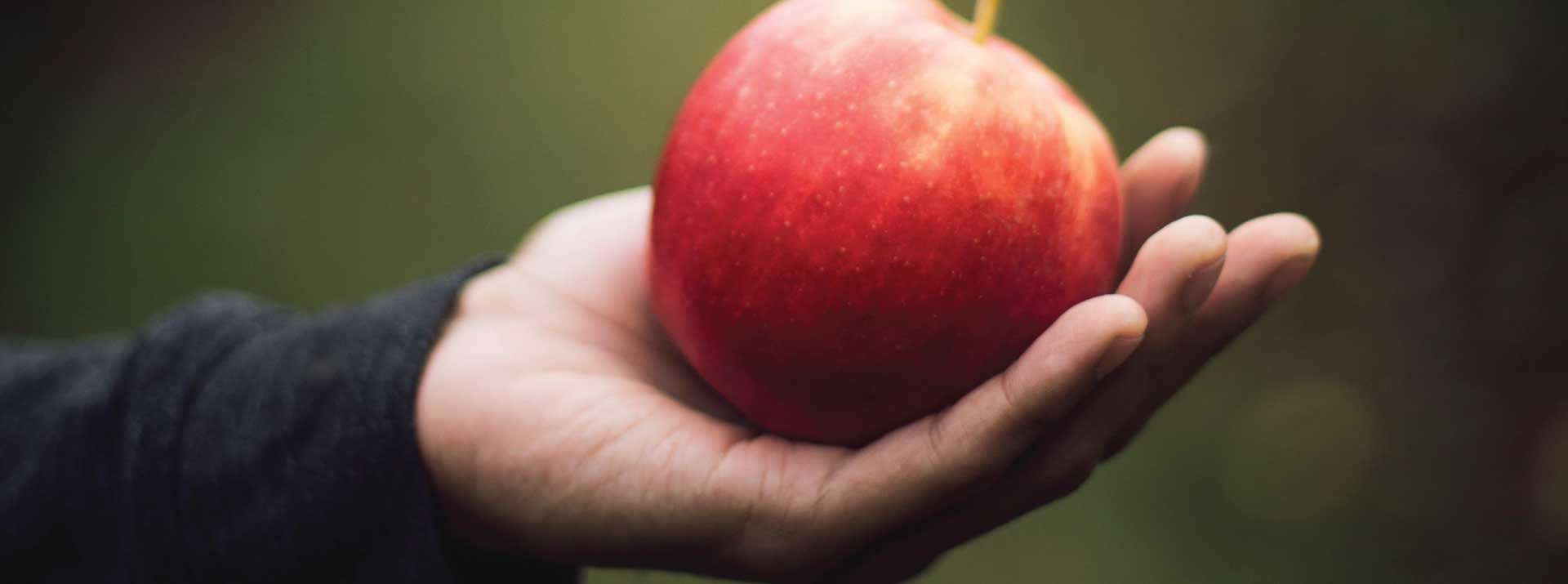 appleheader.jpg