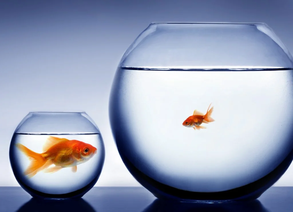 Business-Growing-Pains-Can-You-Grow-Too-Fast-Small-1024x741.jpg