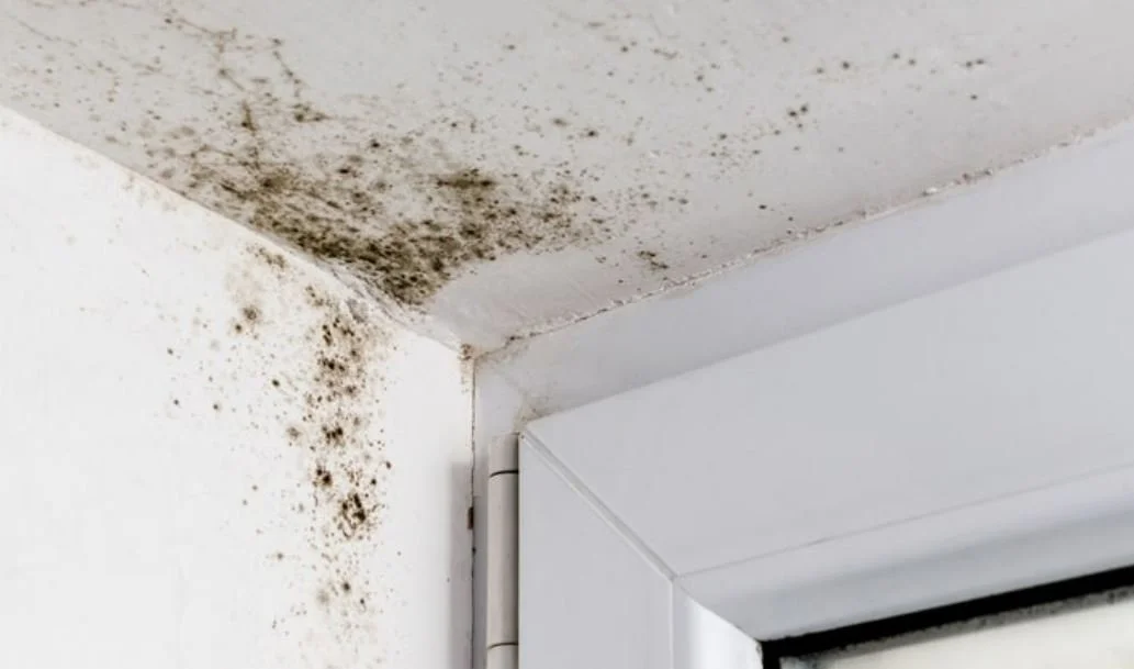 Health Risks in Older Homes