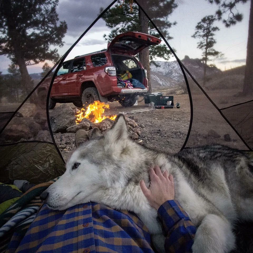 Adventure and donuts