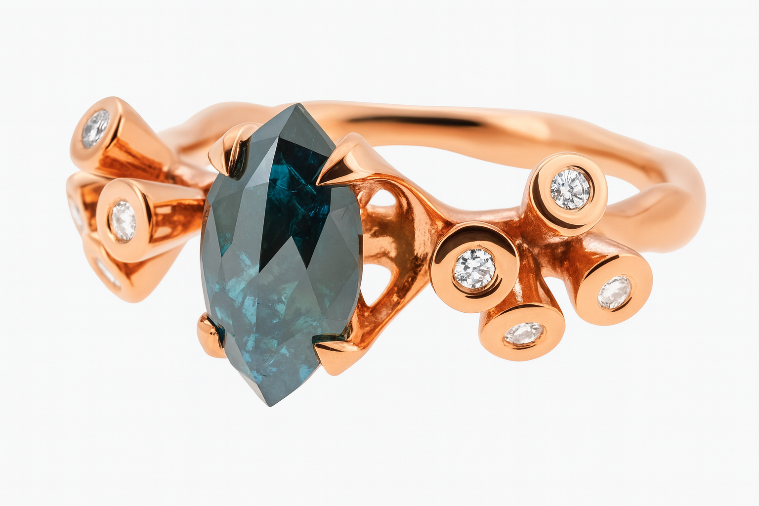 The Reef Ring