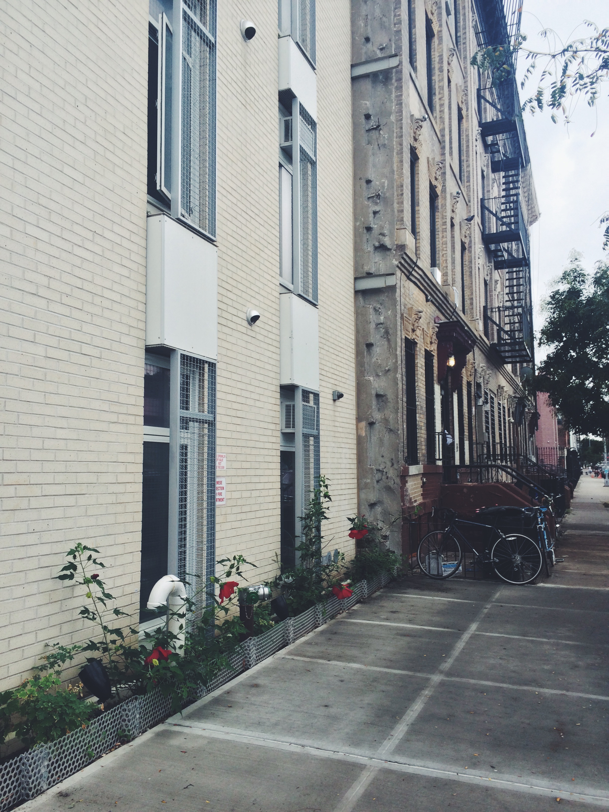 A street in New York I thought was pretty.
