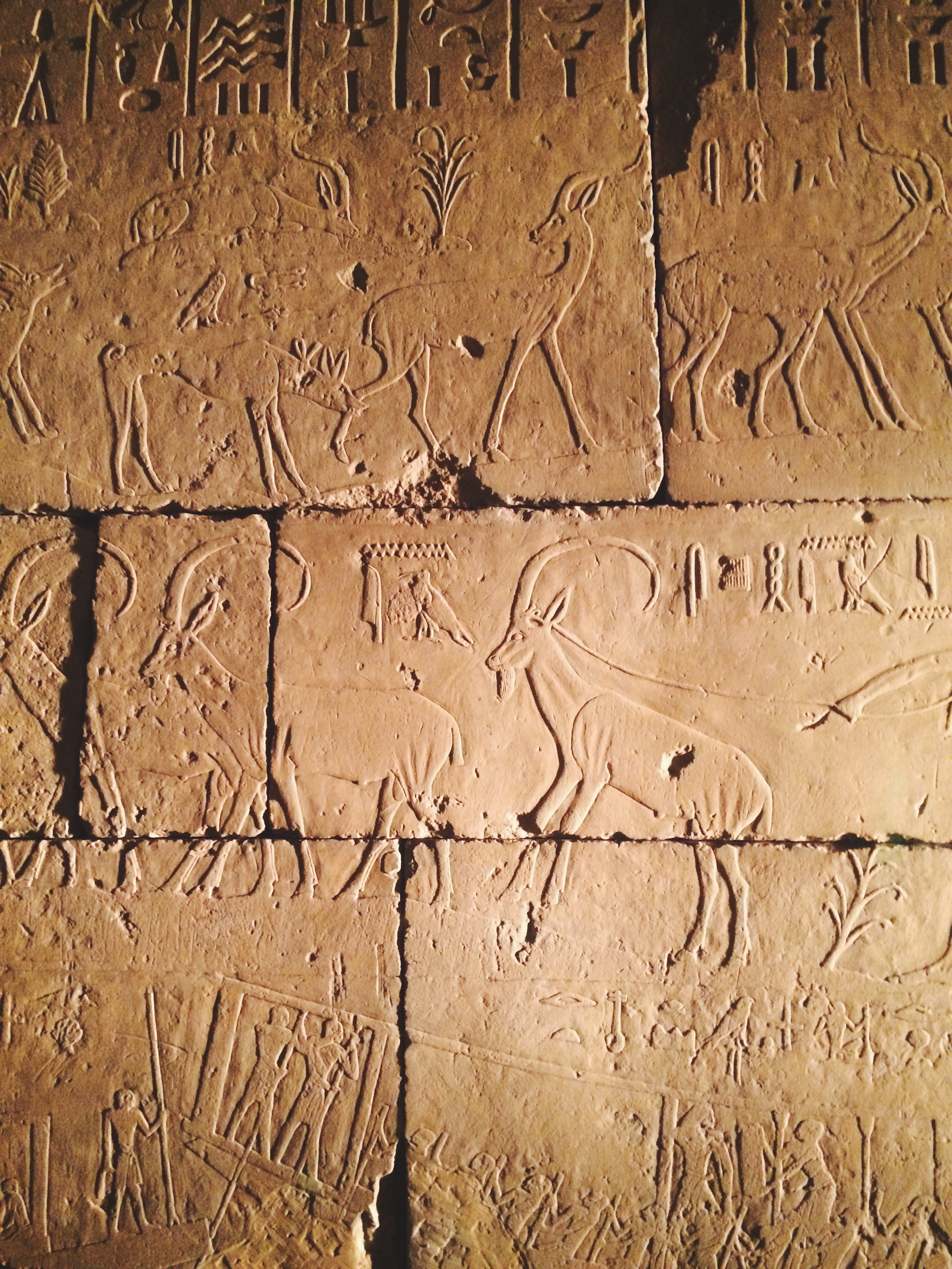 Actual hieroglyphics on stone from the Ancient Egypt exhibit at the Met. 