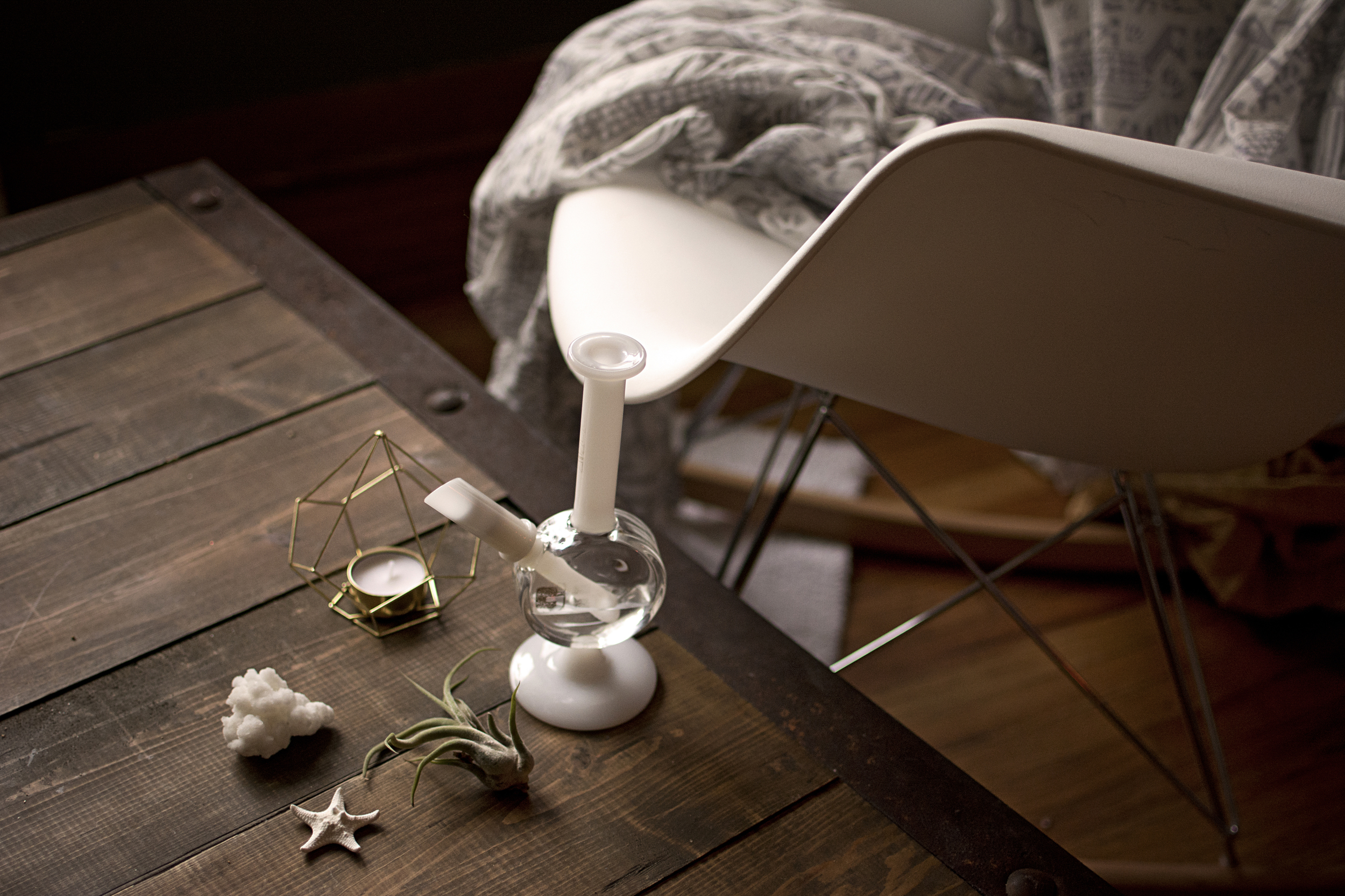 I liked this image, but not the way the white neck overlapped the white chair. I also didn't like the bright white rug in the background, and think it would have been more successful without it. 