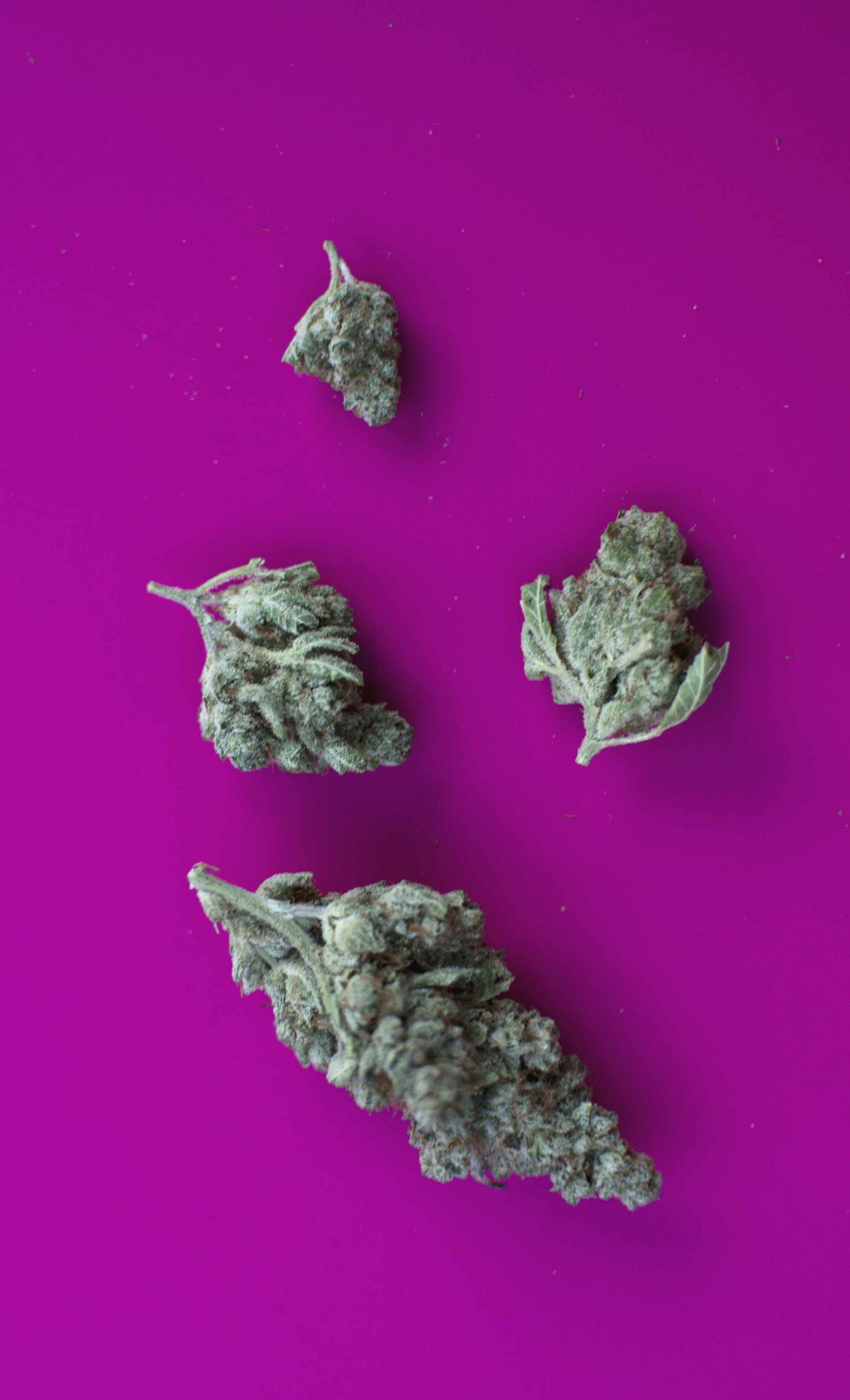 Gotta love those buds. 