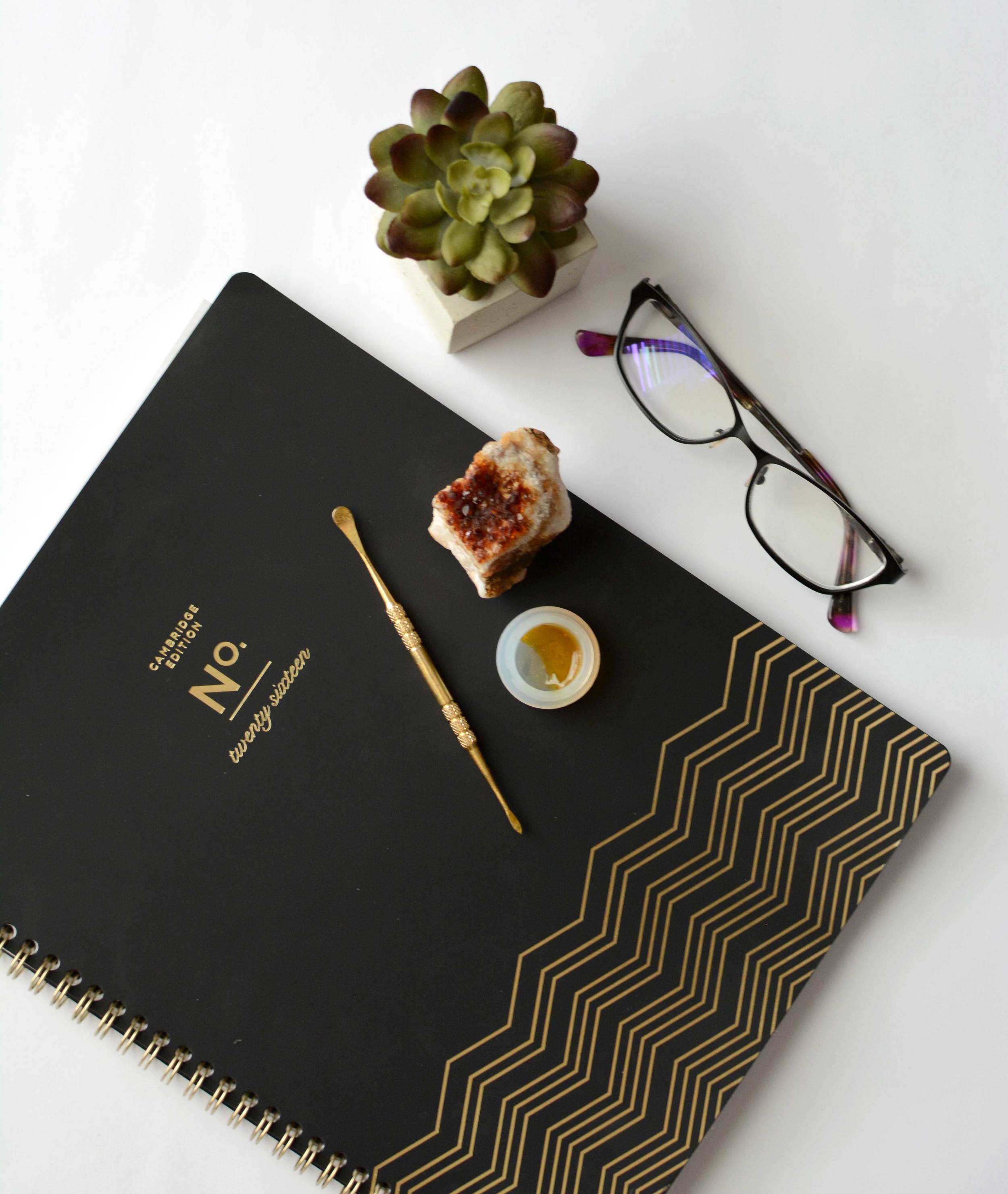 2016 Day Planner from Target / Gold Dabber from Retroactive / Ambulance Shatter from Terrapin Care Station / Citrine Crystal from Sedona crystal shop (read about citrine here) / Fake Succulent Plant by Hobby Lobby / Plant Holder by Concrete Geometric / Glasses by Vera Wang