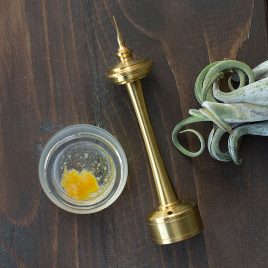dabs-golddabber-airplant-thrive.jpg