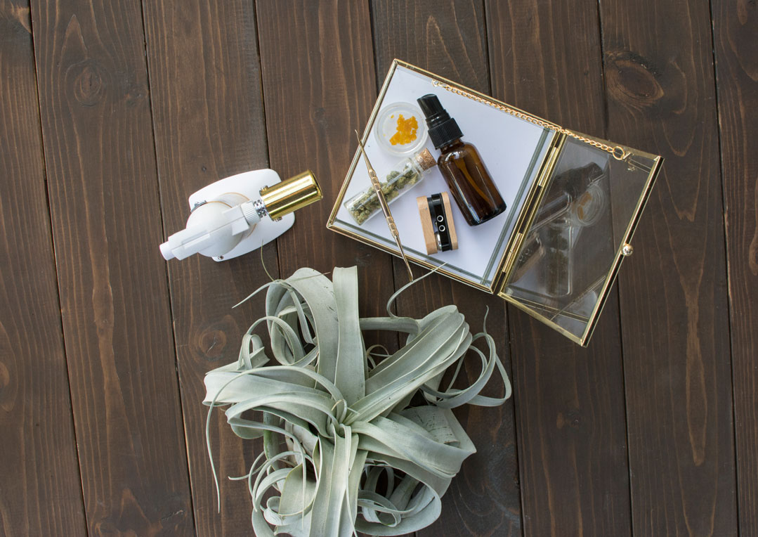 stashbox-torch-succulent-thrive.jpg