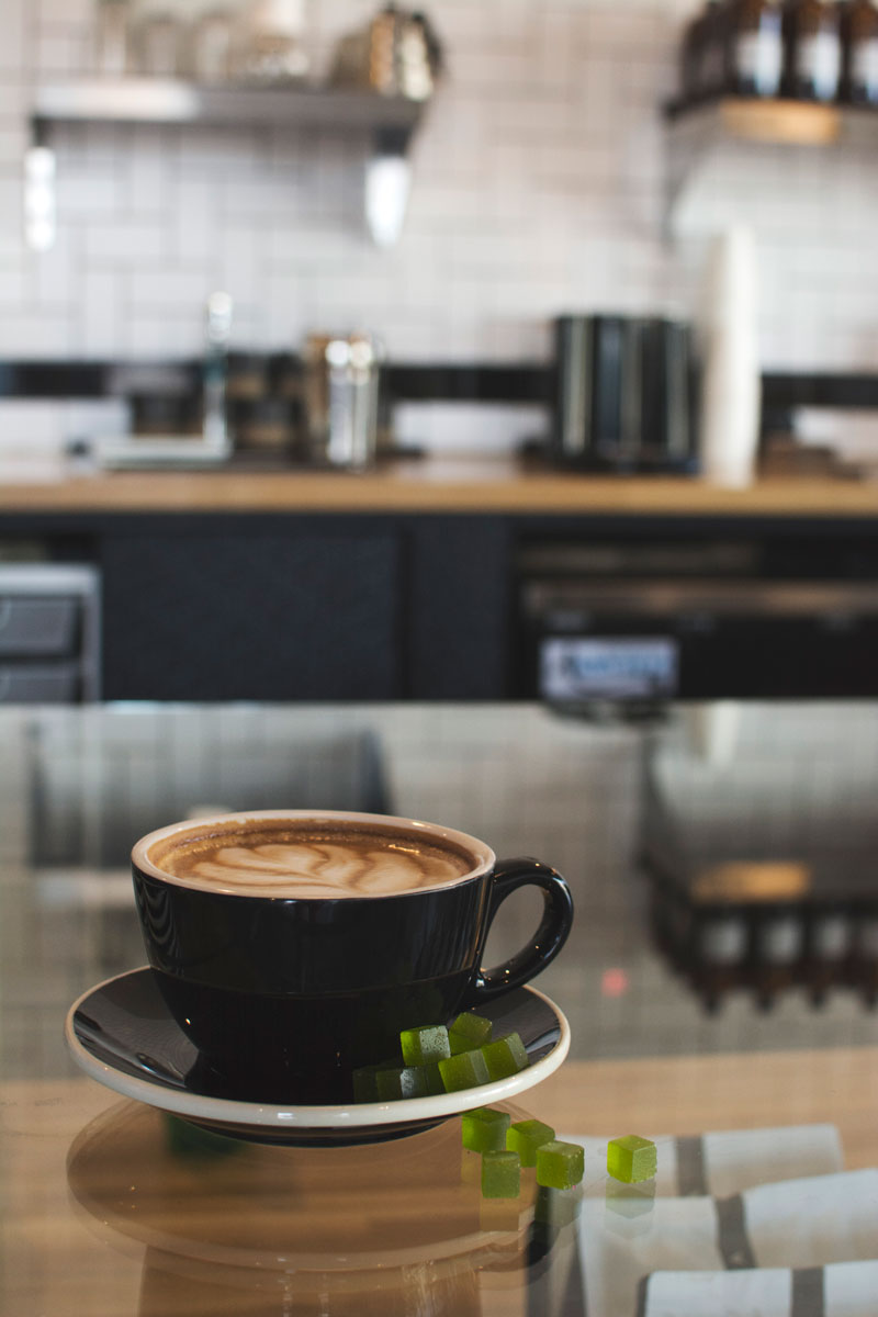 latte-vesta-3-thrive-jun2017.jpg