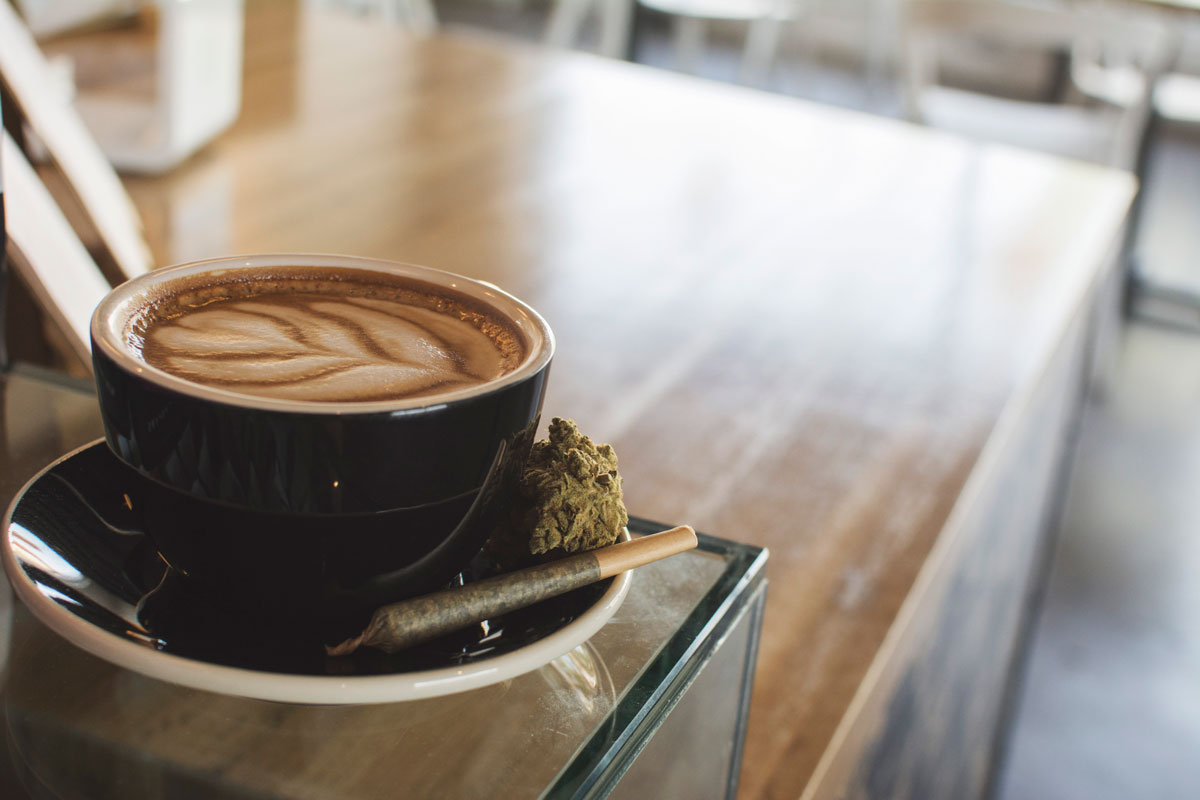 latte-vesta-5-thrive-jun2017.jpg