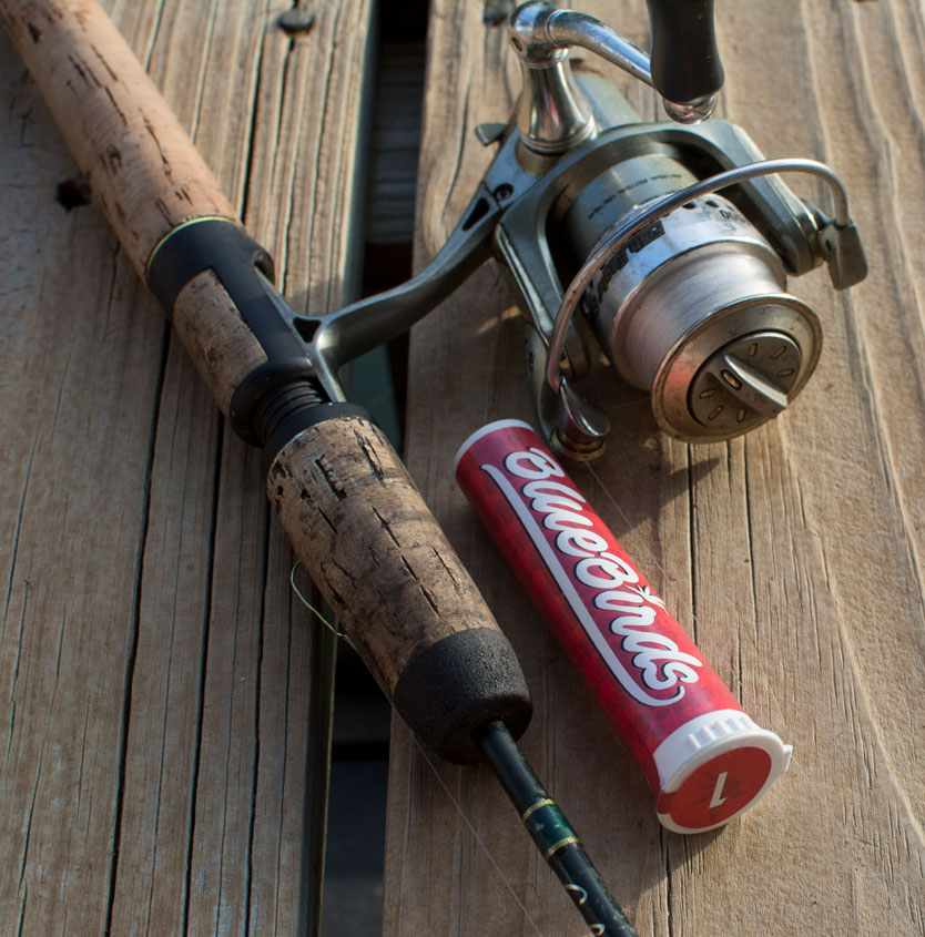 fishing-rod-red-bluebirds-deeprootsharvest.jpg