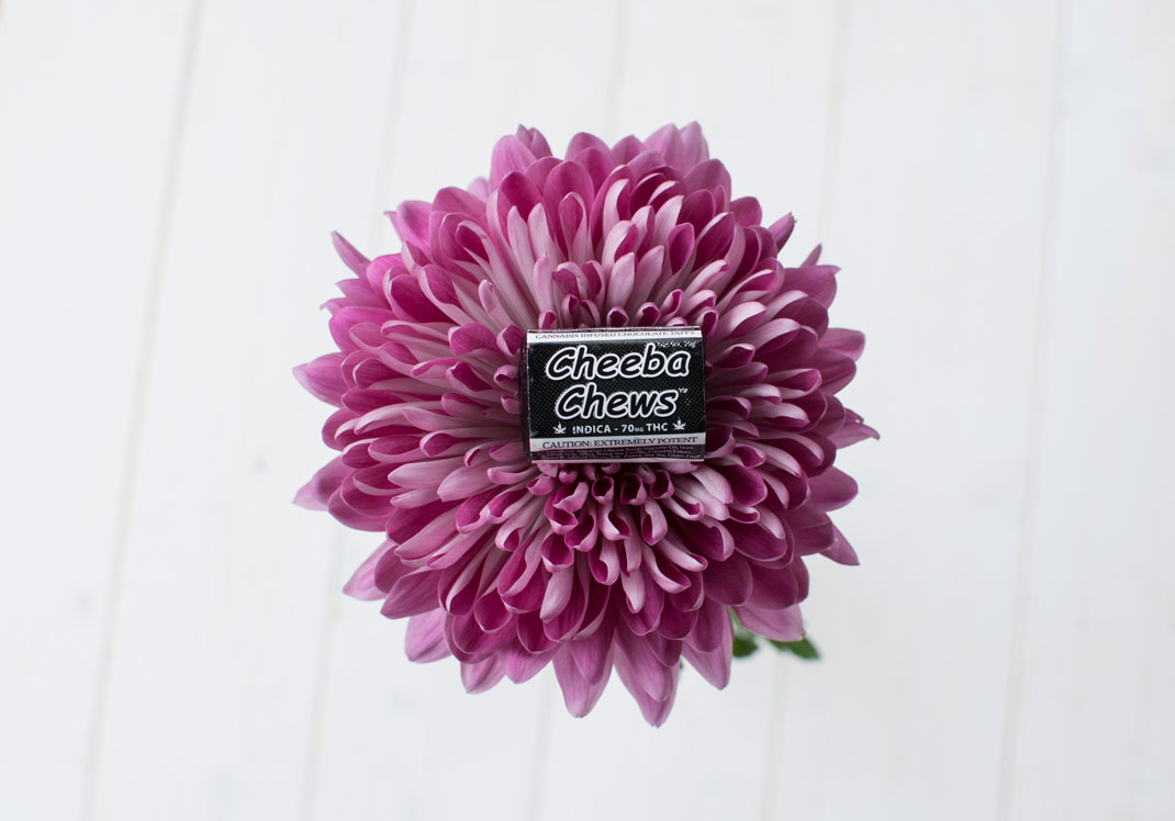 flower-black-cheebachews.jpg