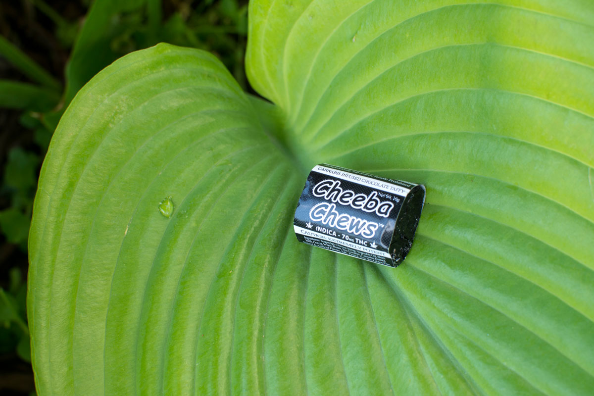 leaf-cheebachews.jpg