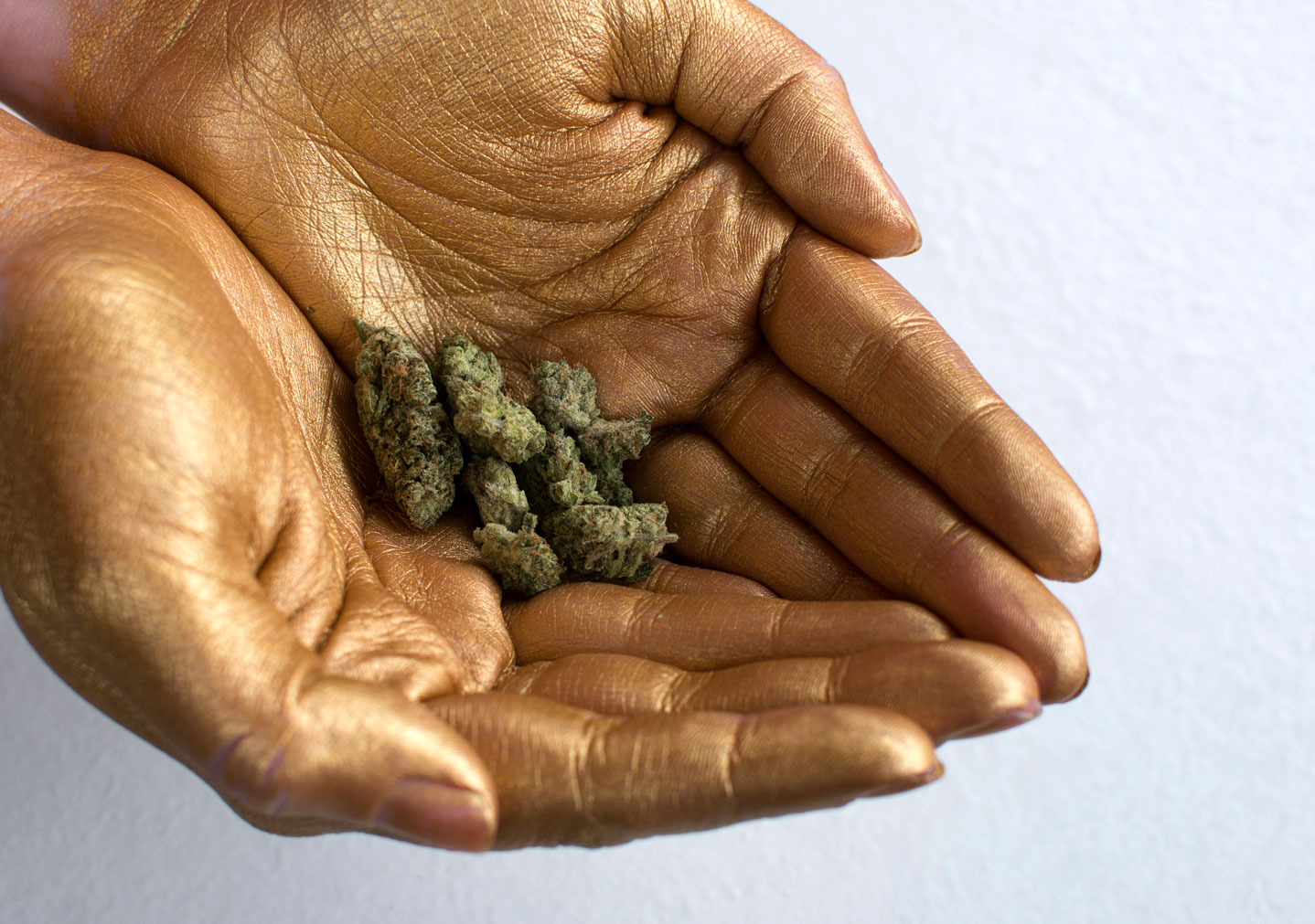 pilecrop-gold-hands-angle-greenandgold.jpg