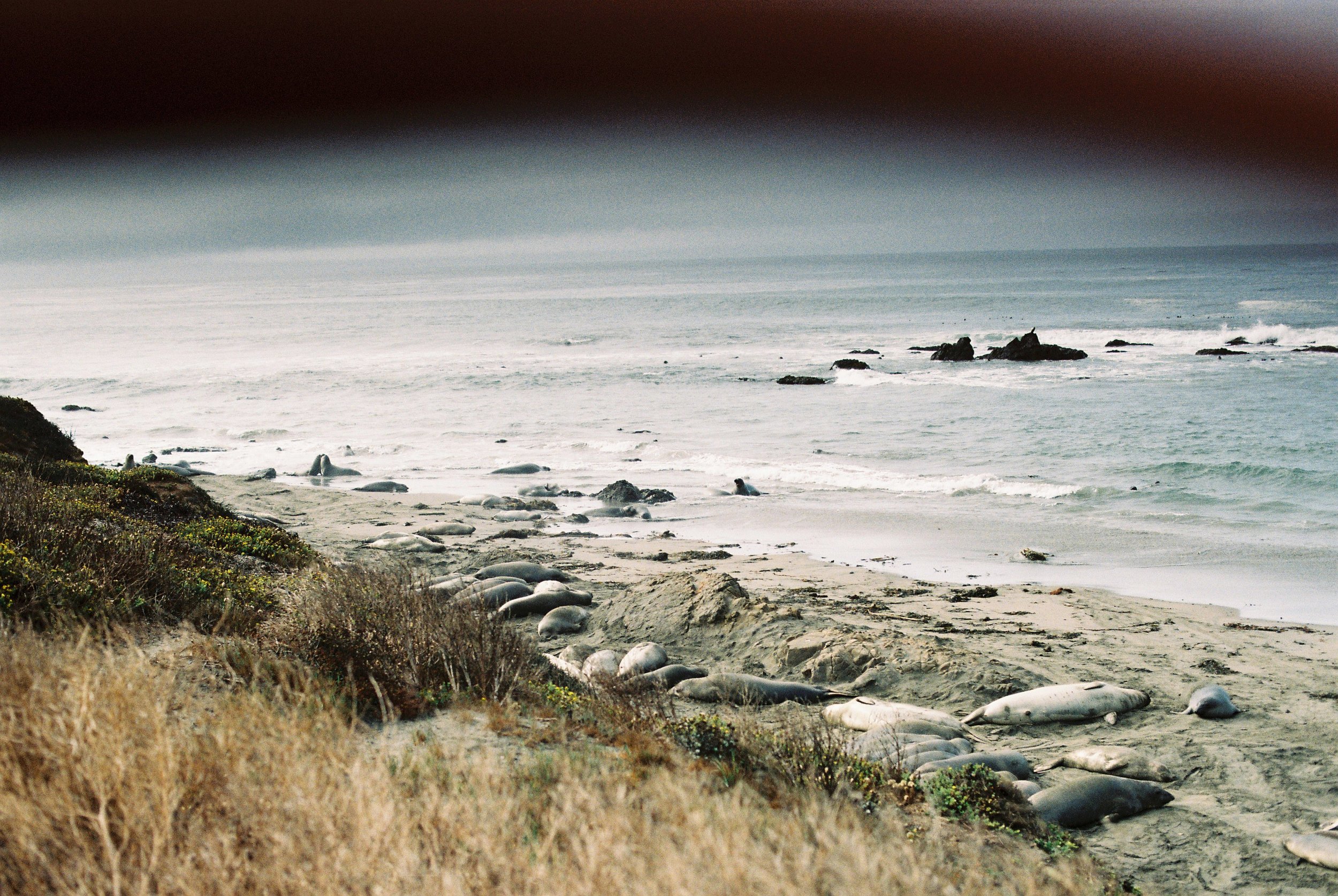 Film5540_32.JPG