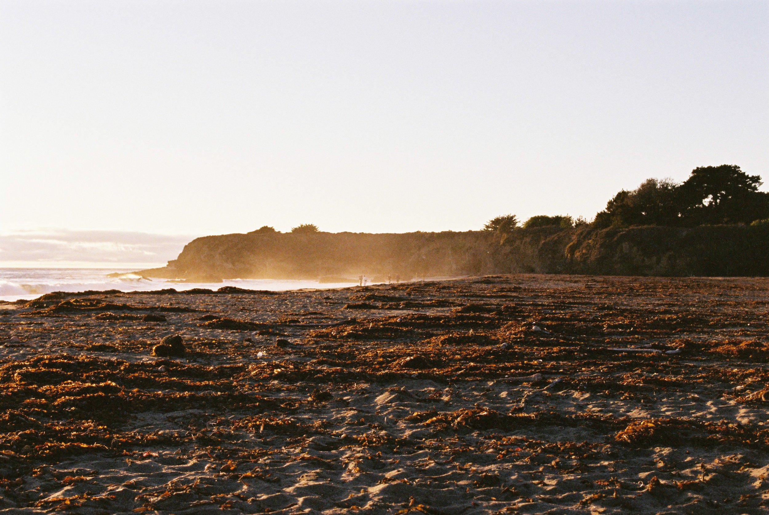 Film5541_09.JPG