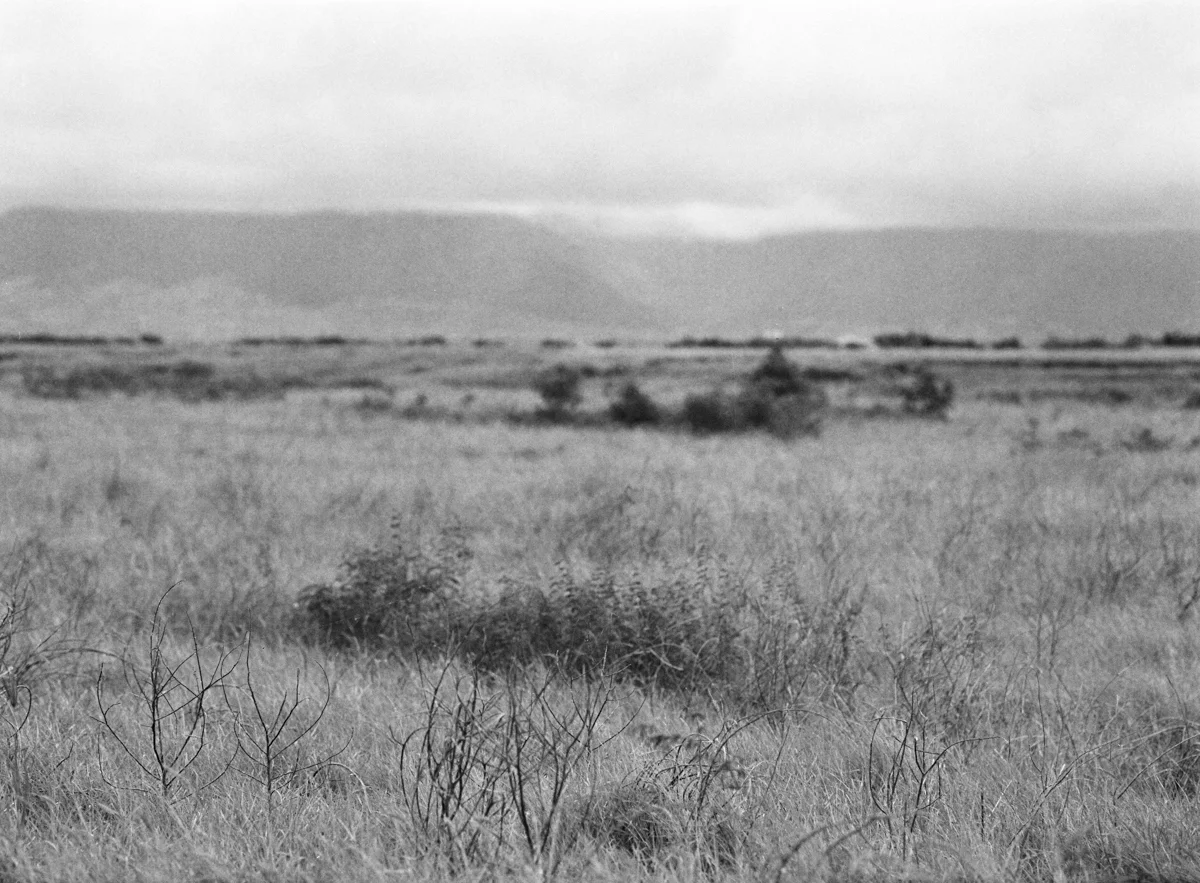 LMS_Maui_Mamiya645_Ilford400_web_15-12.jpg