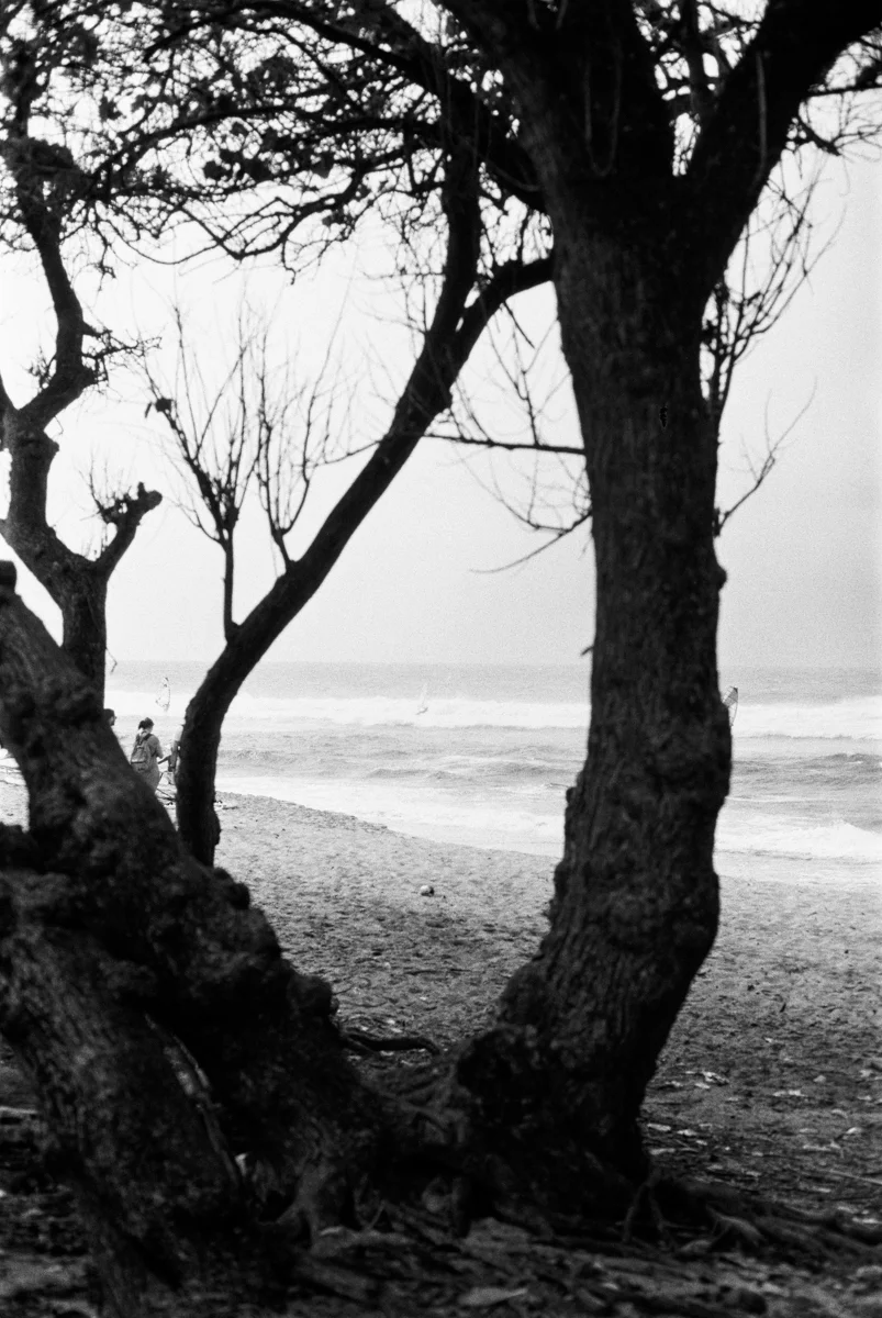 LMS_Maui_Canon300V_Tmax400_web_15-27.jpg