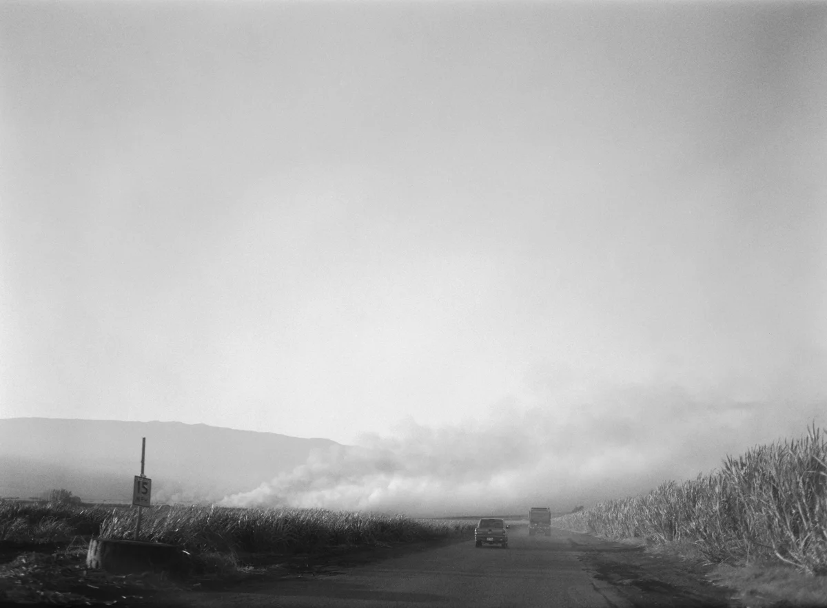 LMS_Maui_Mamiya645_Ilford400_web_15-21.jpg