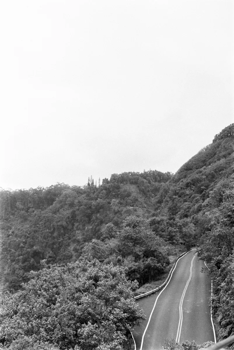 LMS_Maui_Canon300V_Tmax400_web_15-33.jpg