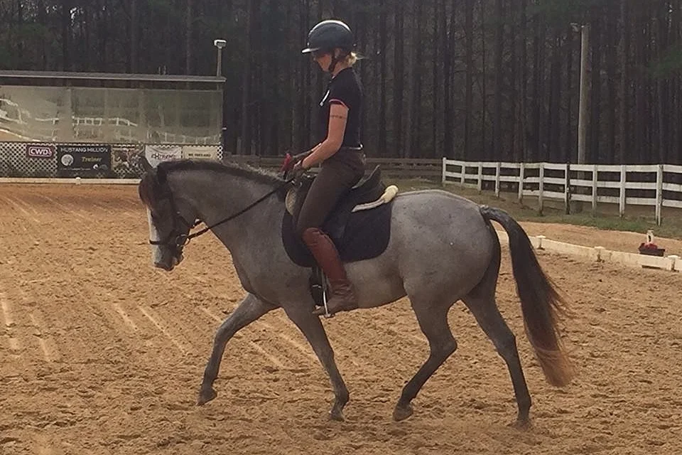 Horses For Sale — Southern Oaks Equestrian