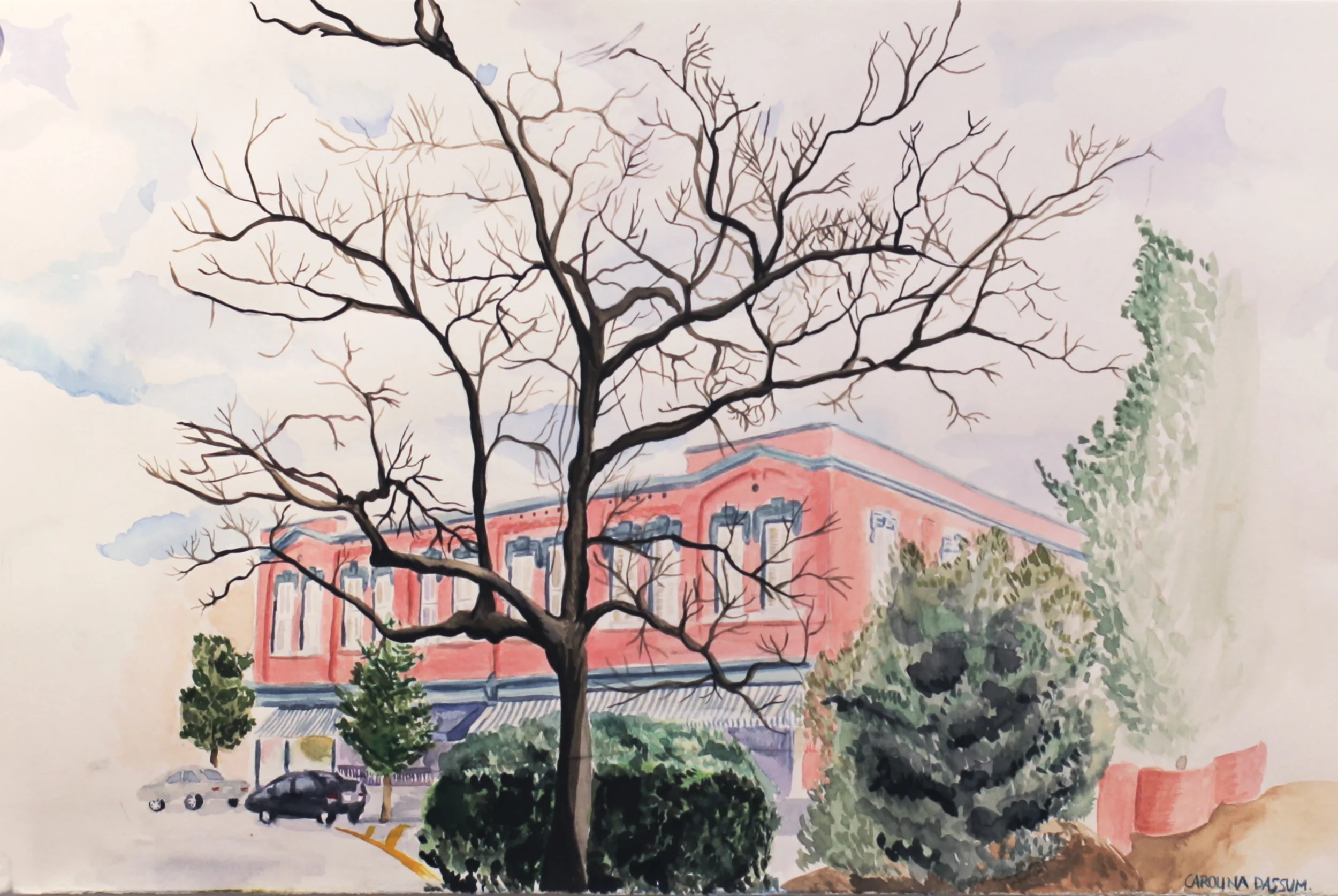 DRW_watercolor.jpg