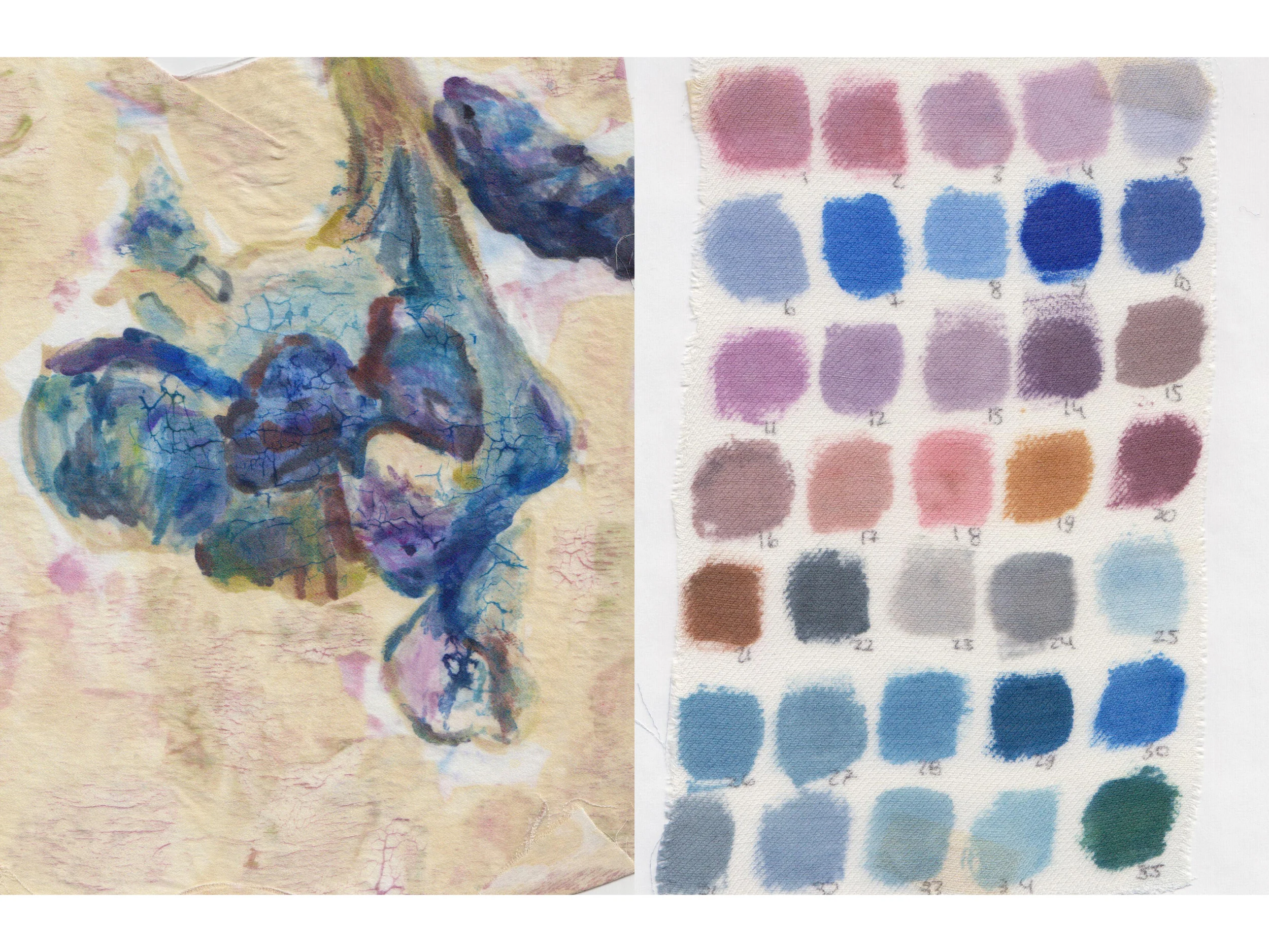 COLOR_RESEARCH20.jpg